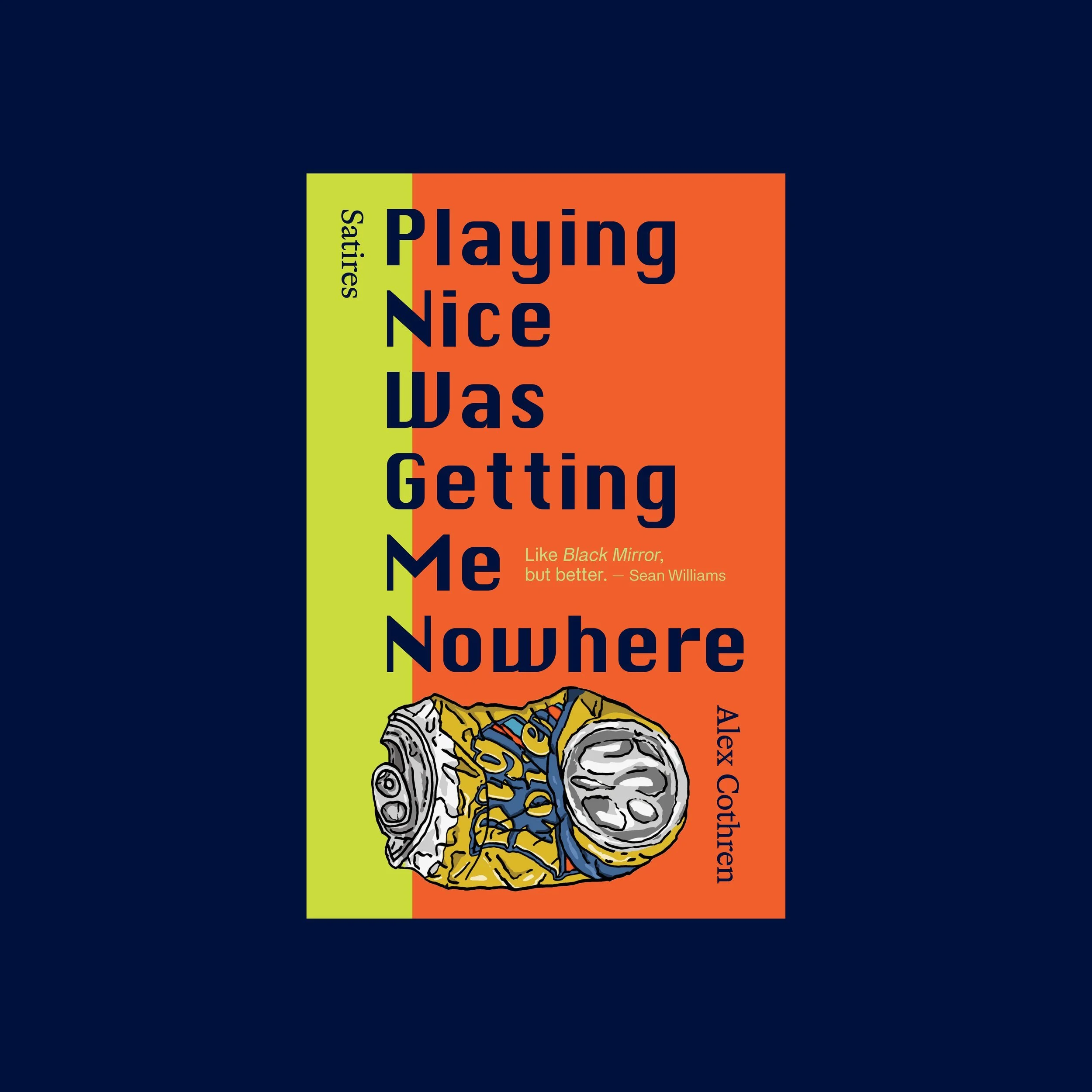 Playing Nice for web.jpg