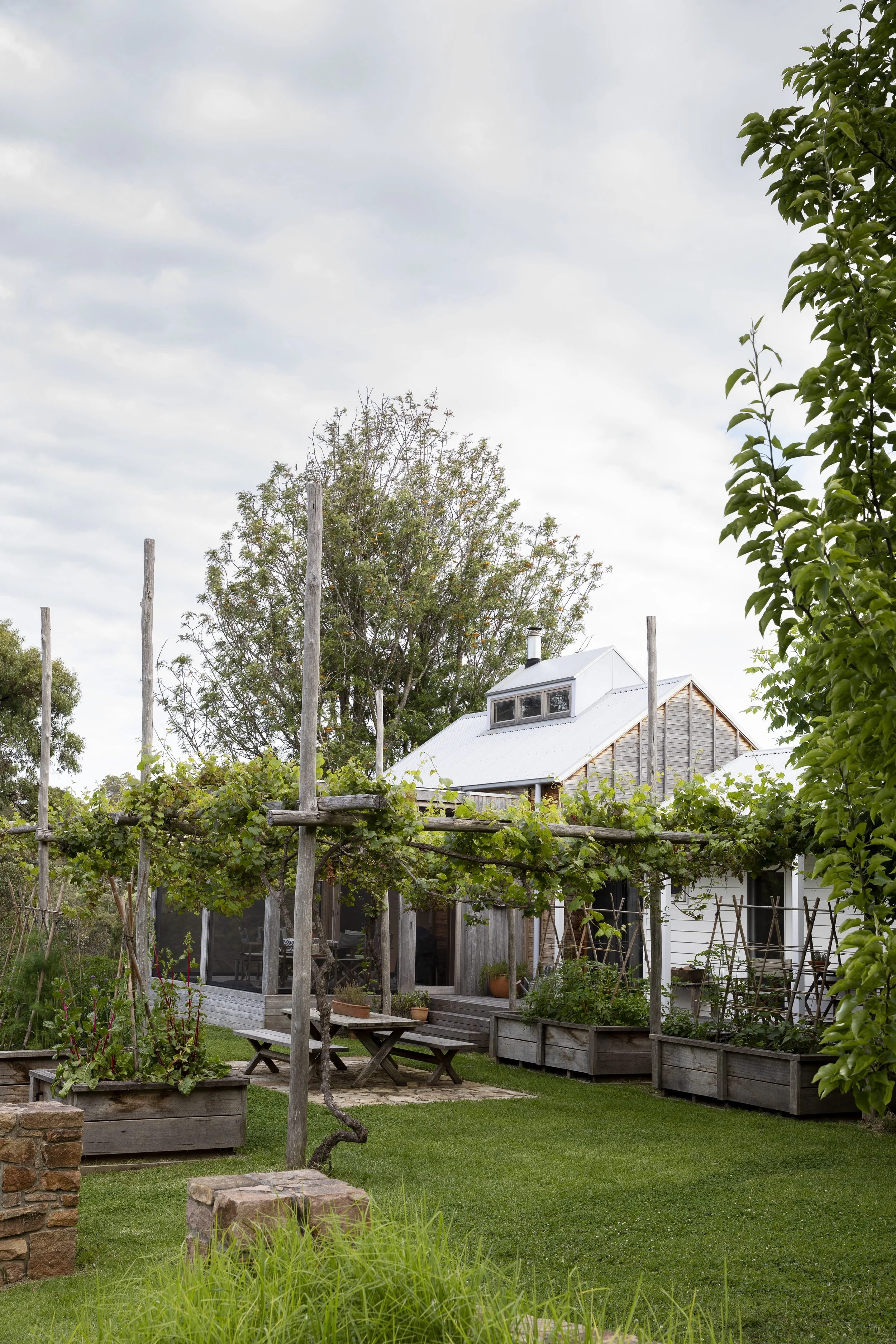 Metung_Draper9860_Gemmola copy.jpeg