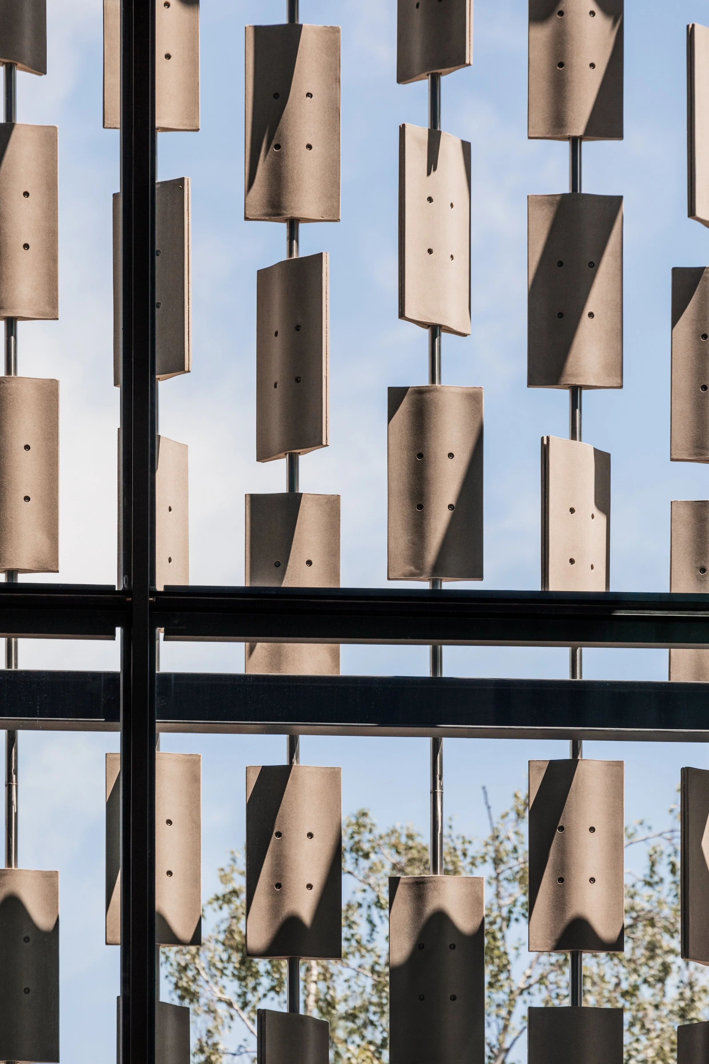 DNA_Edited_m3432a_0698_©Trevor Mein 2024.jpg