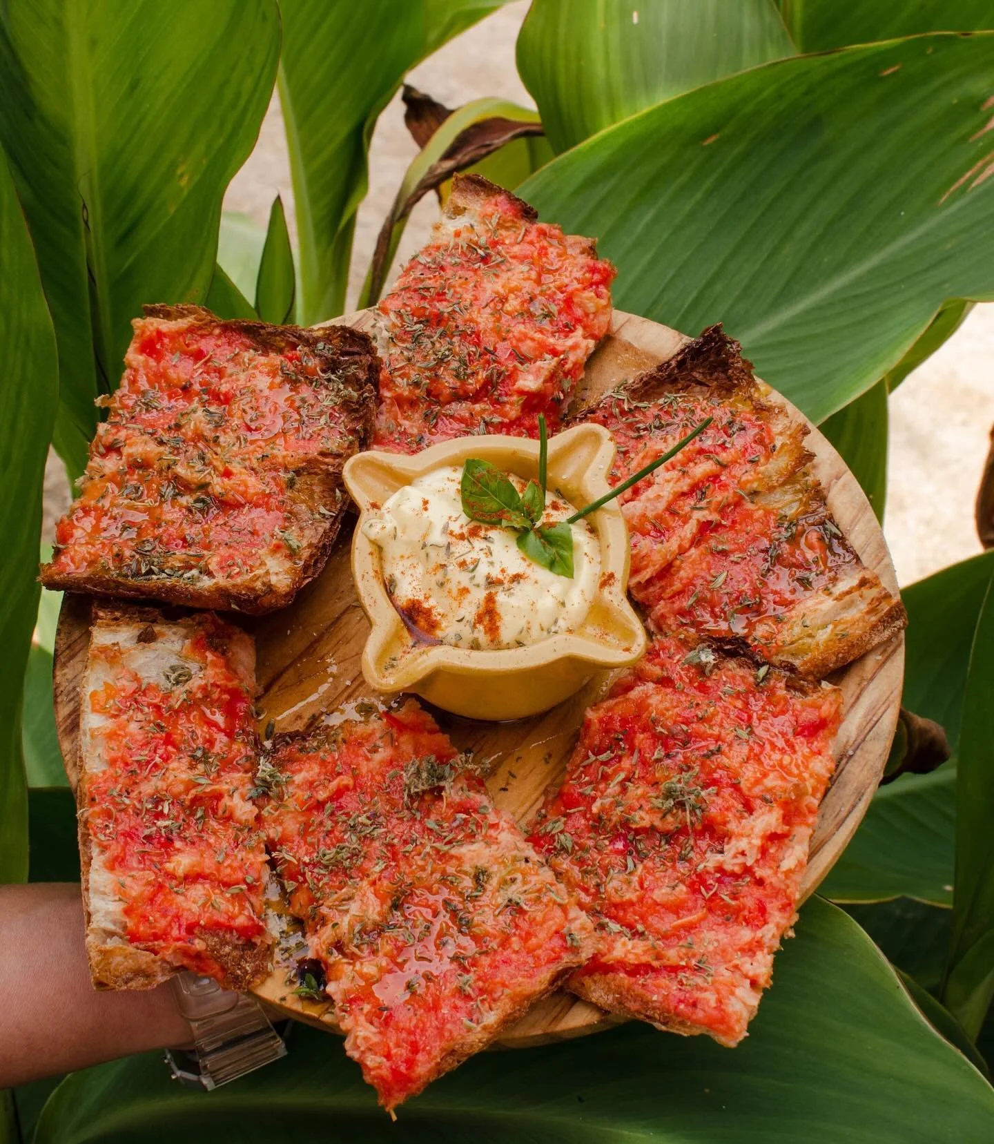 🍅🍅🍅 qui no pot viure sense pa?