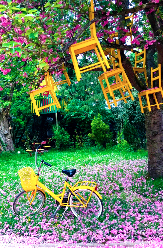 Capture d’écran 2026-04-07 à 14.50.56.png