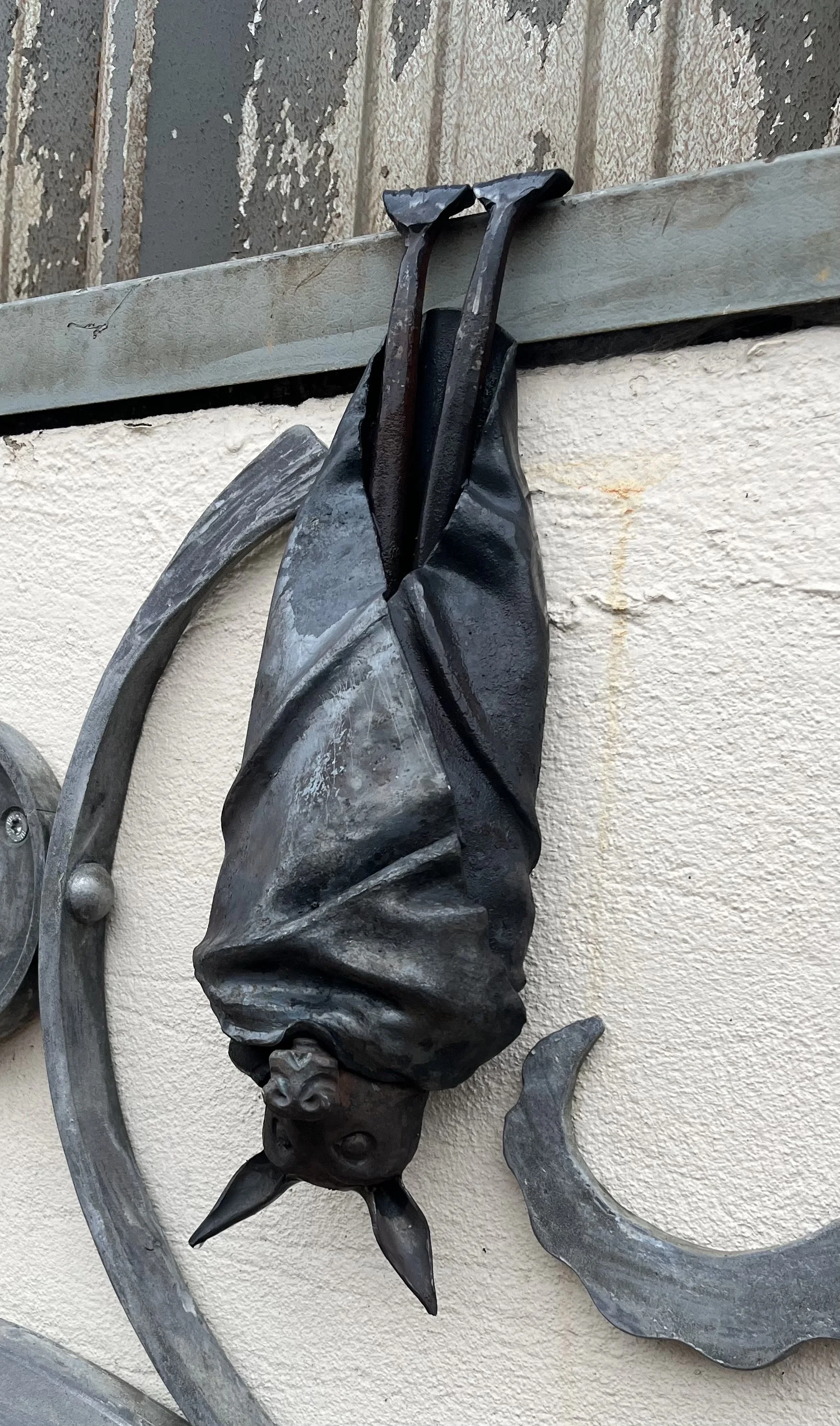 Hanging Bat closeup