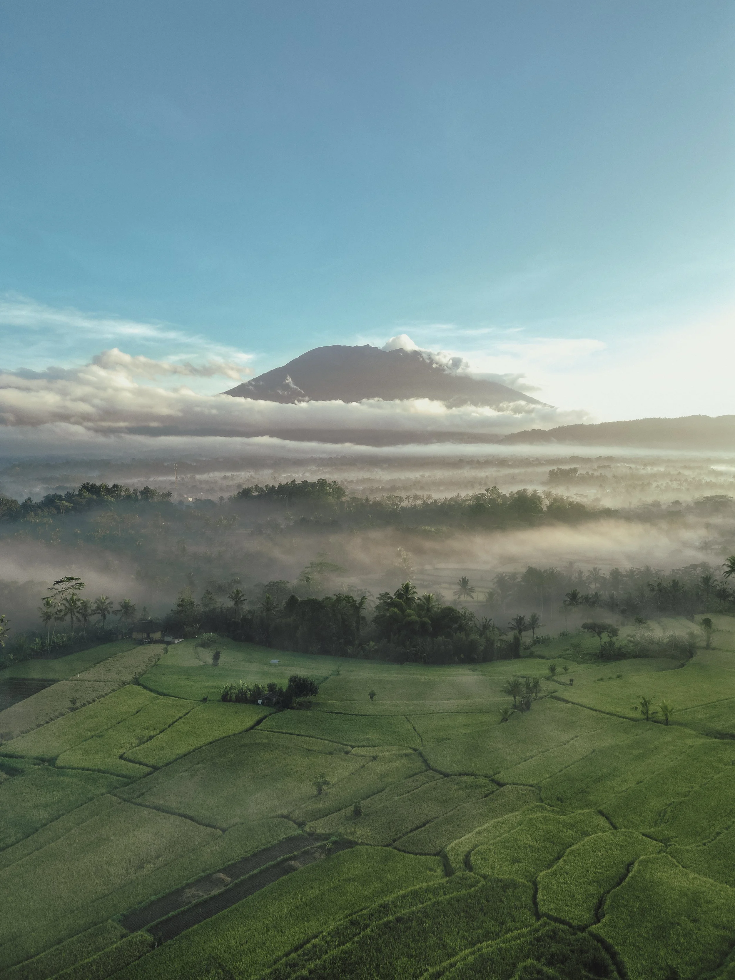 dji_fly_20260325_193550_155_1778714567211_photo.jpg