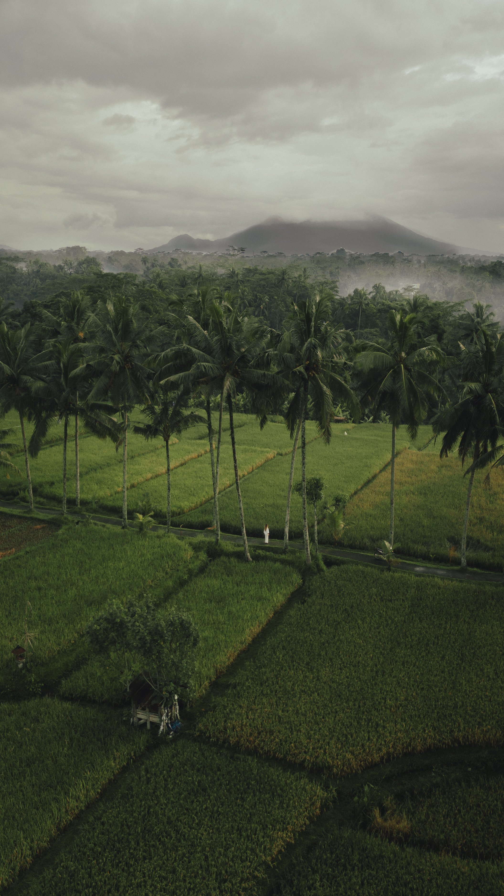 DJI_0849.jpg