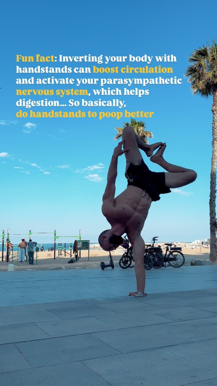 Dm for personal class and learn to have good sh*ts
.
.
.
#handstand #handbalance #calisthenics #streetworkout #workoutmotivation #workout #athlete #tip #fitness #fitnesslife