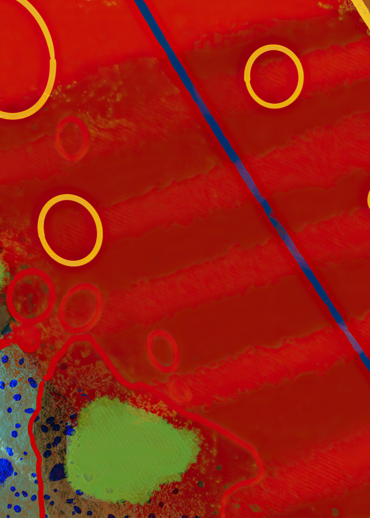 Hr-5x7-cards_14_f.png