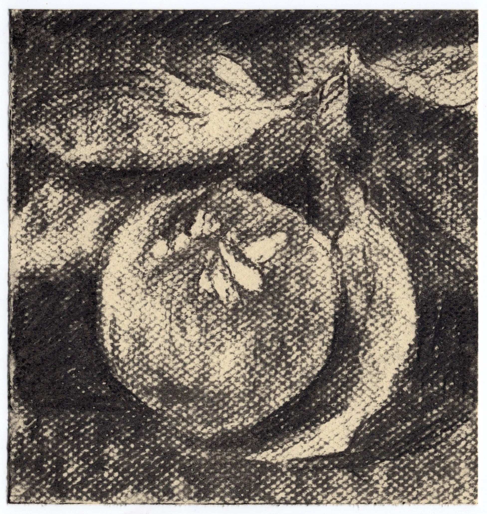 Pureza_160x168mm_Carvao sobre Papel.jpg
