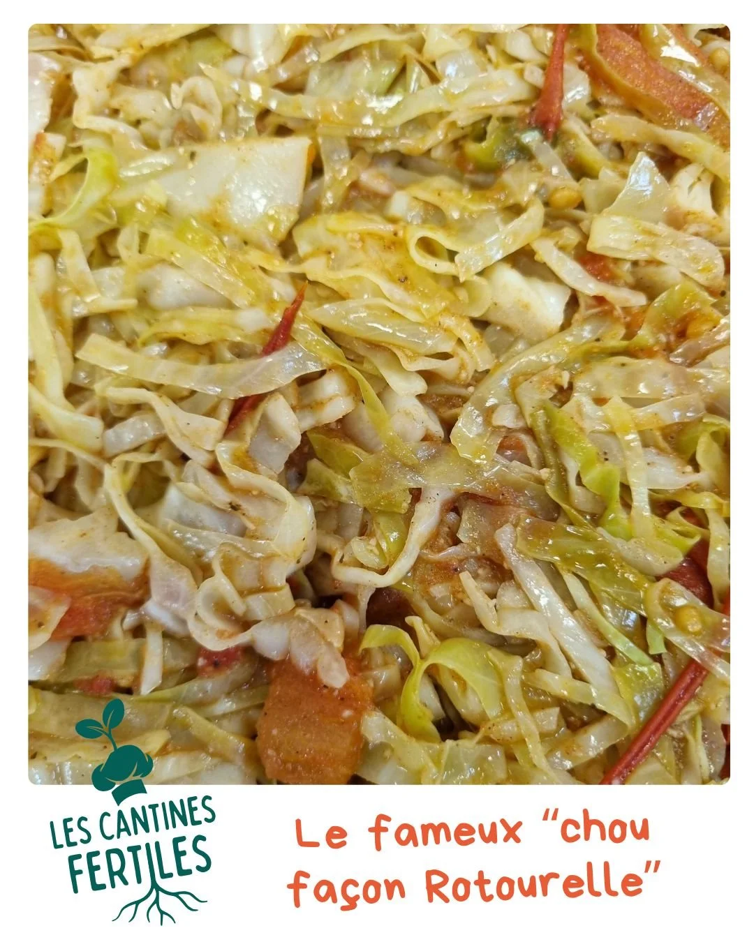 Collectif Les pieds dans le plat - Les cantines fertiles - le chou.jpg