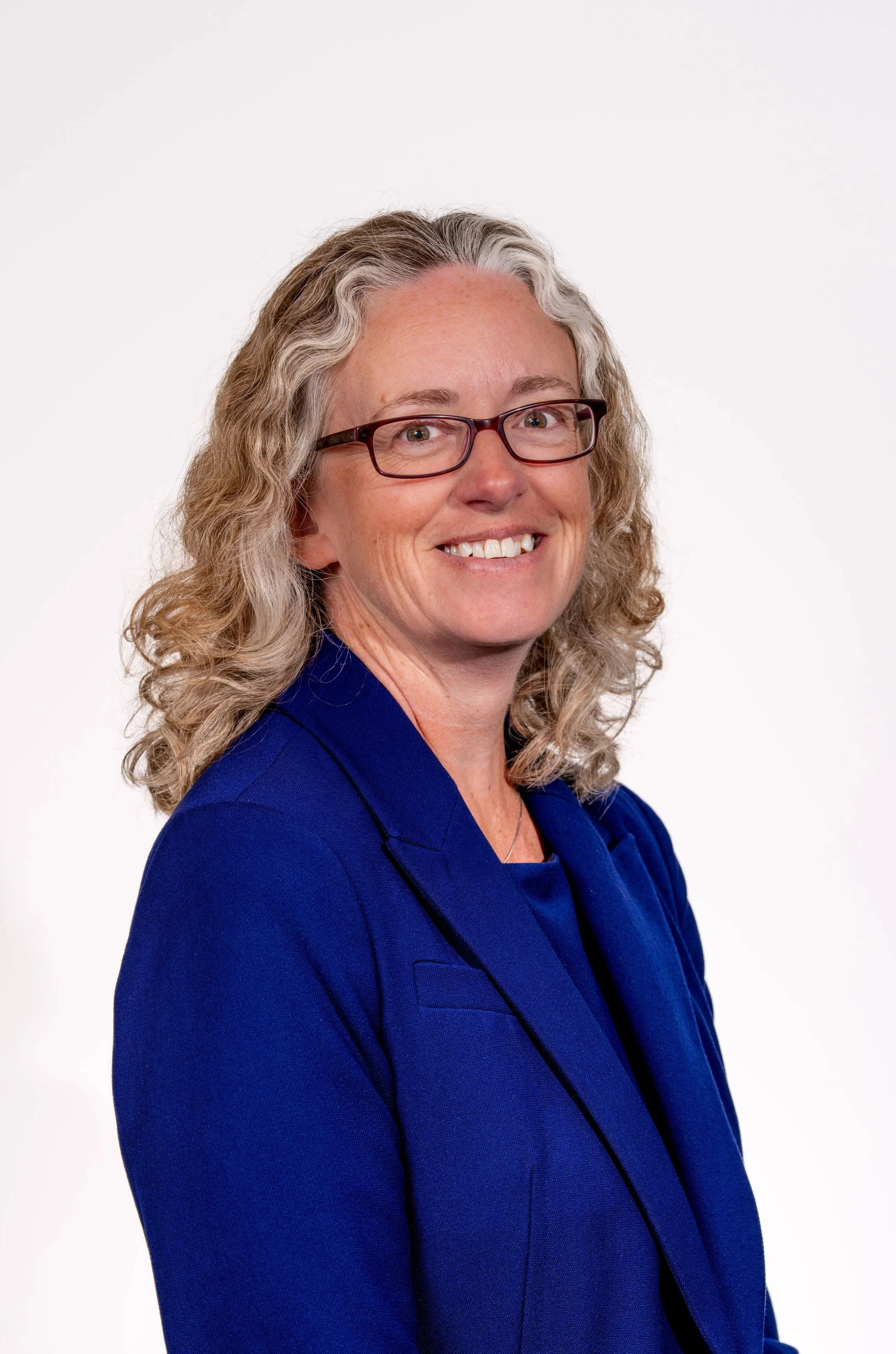 A silhouette of a bird perched on a branch against a clear sky.