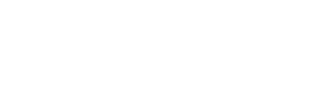 Fiduchi Group