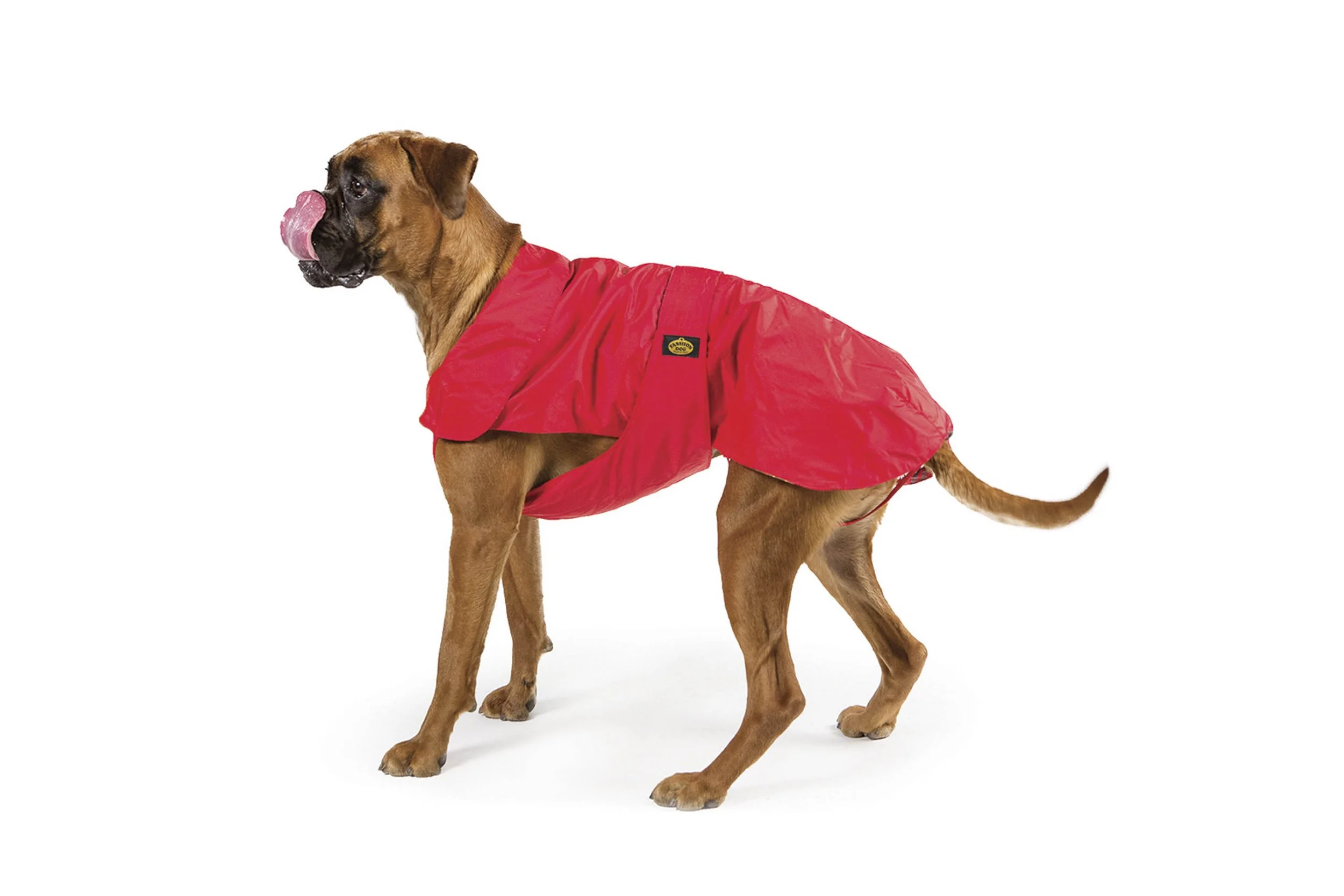 Cappotto impermeabile con imbottitura staccabile per Boxer – Art. 170