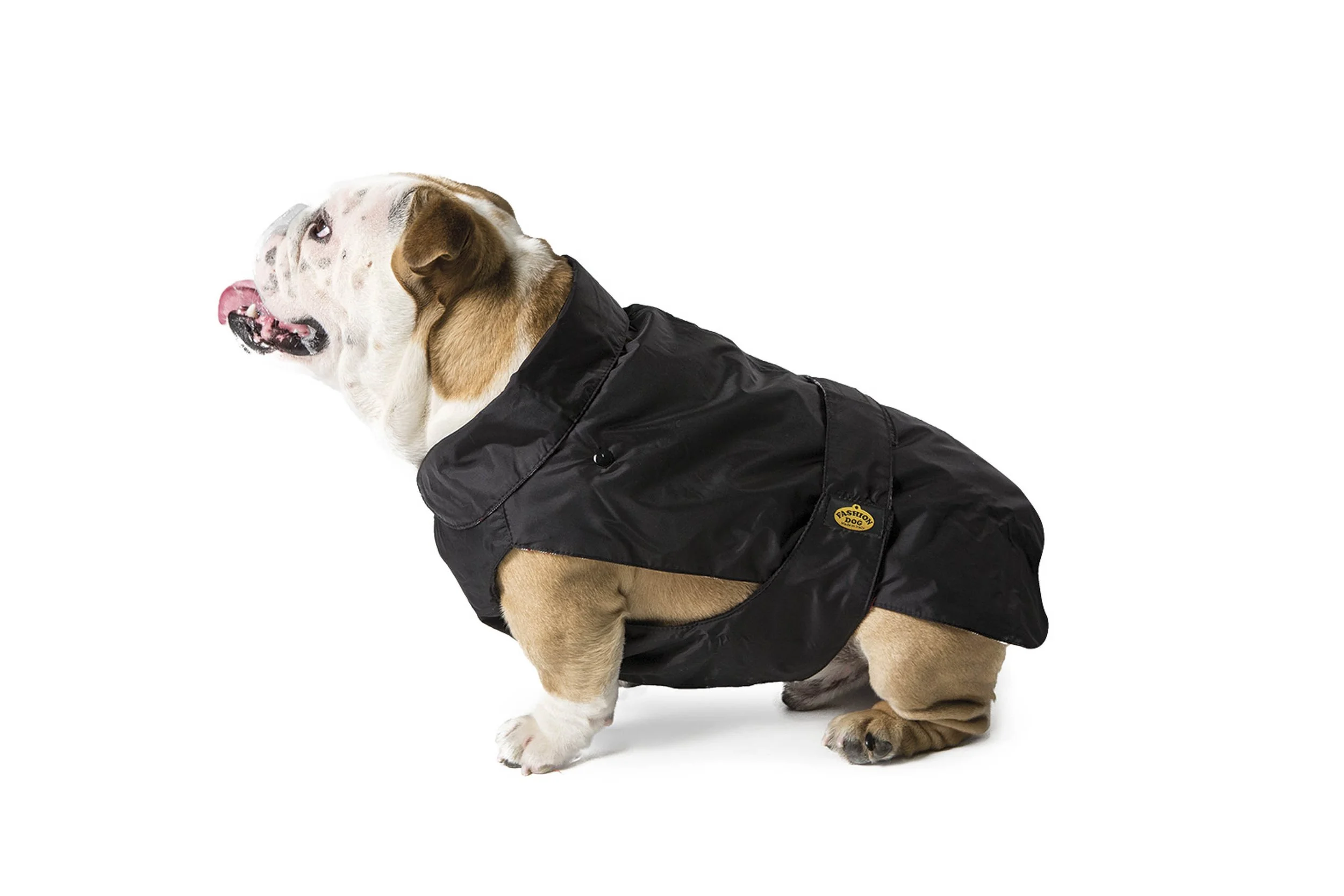 Cappotto impermeabile con imbottitura staccabile - per Bulldog – Art. 160