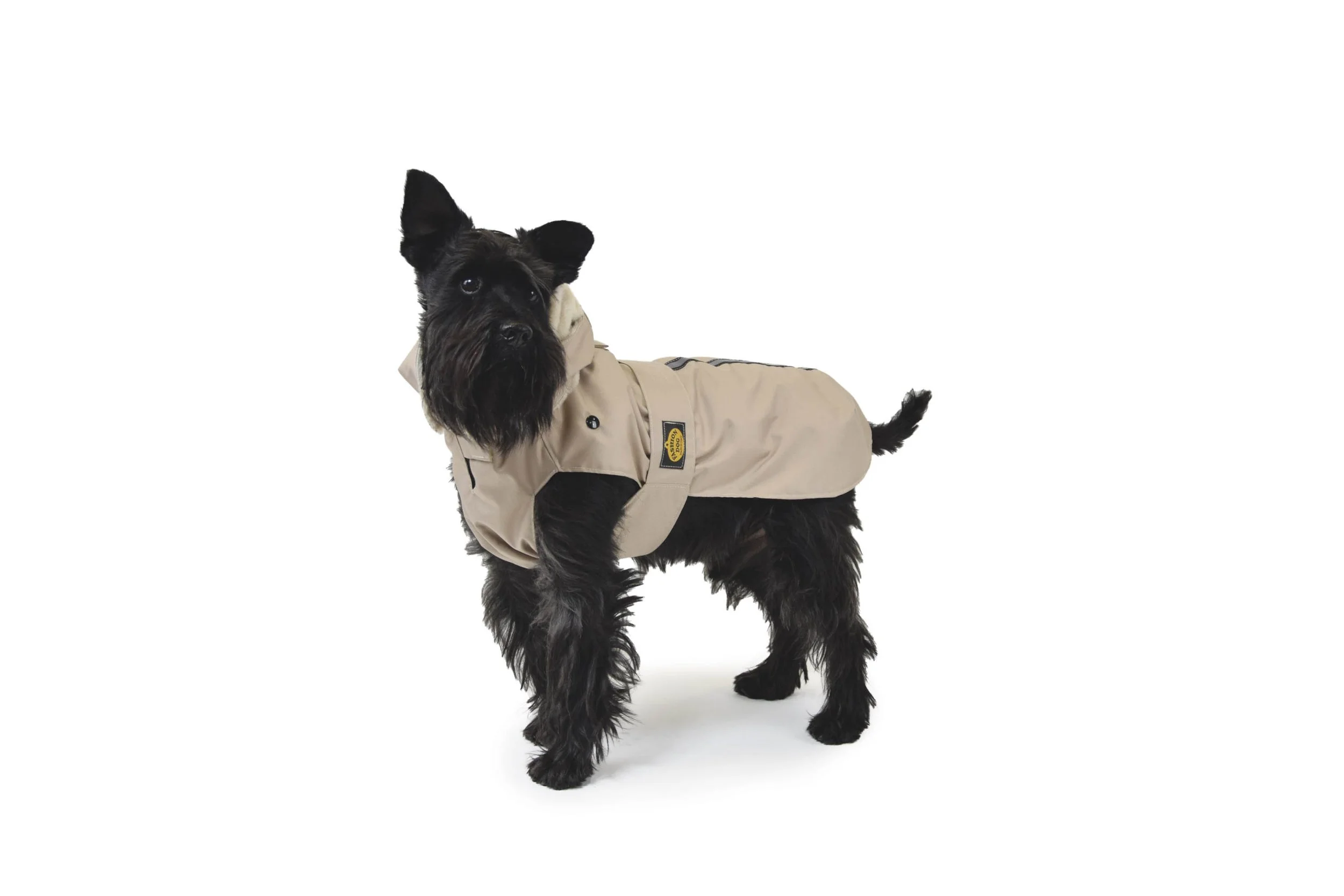 242 bedge indossato.jpg