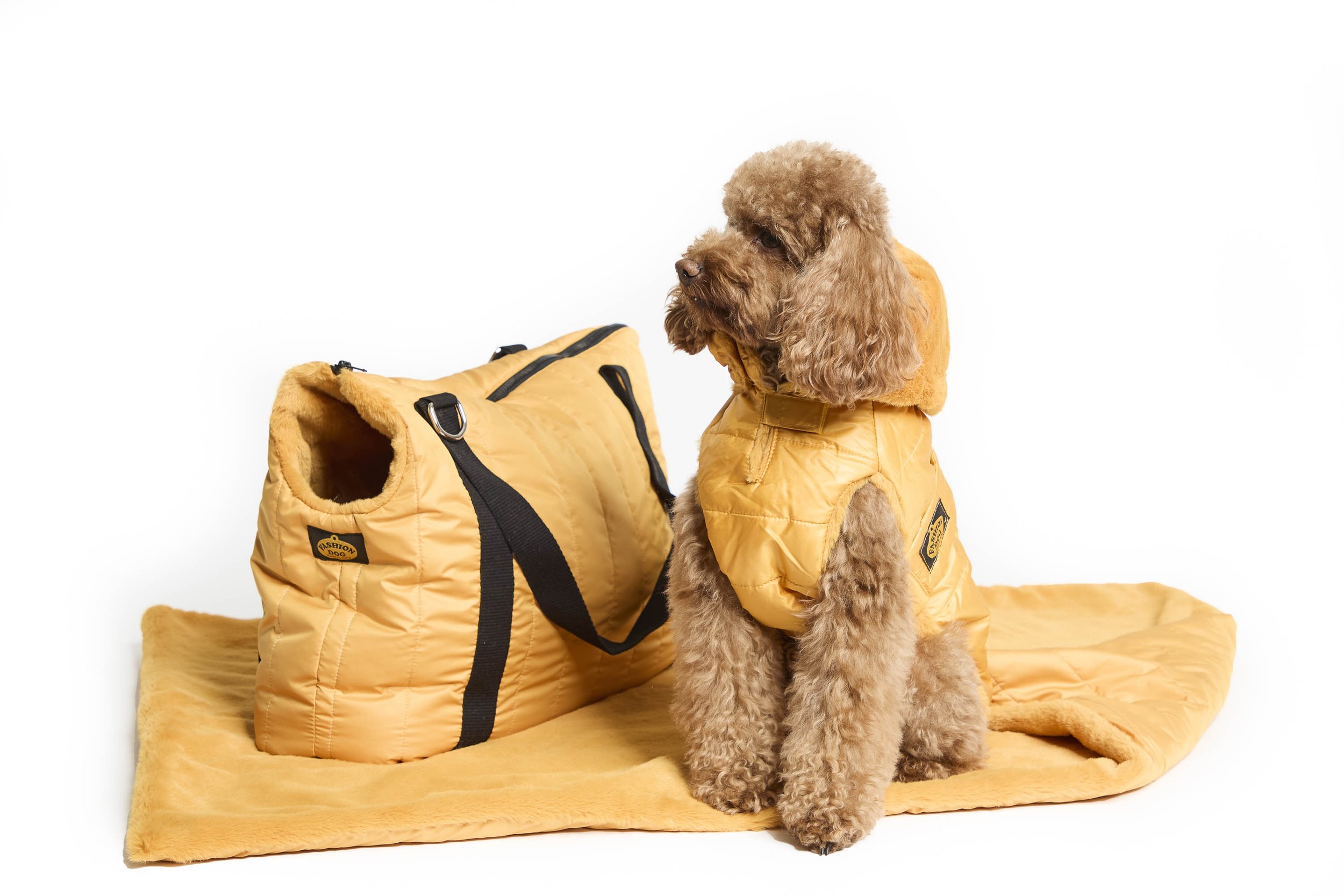 130_GIALLO-23139.jpg