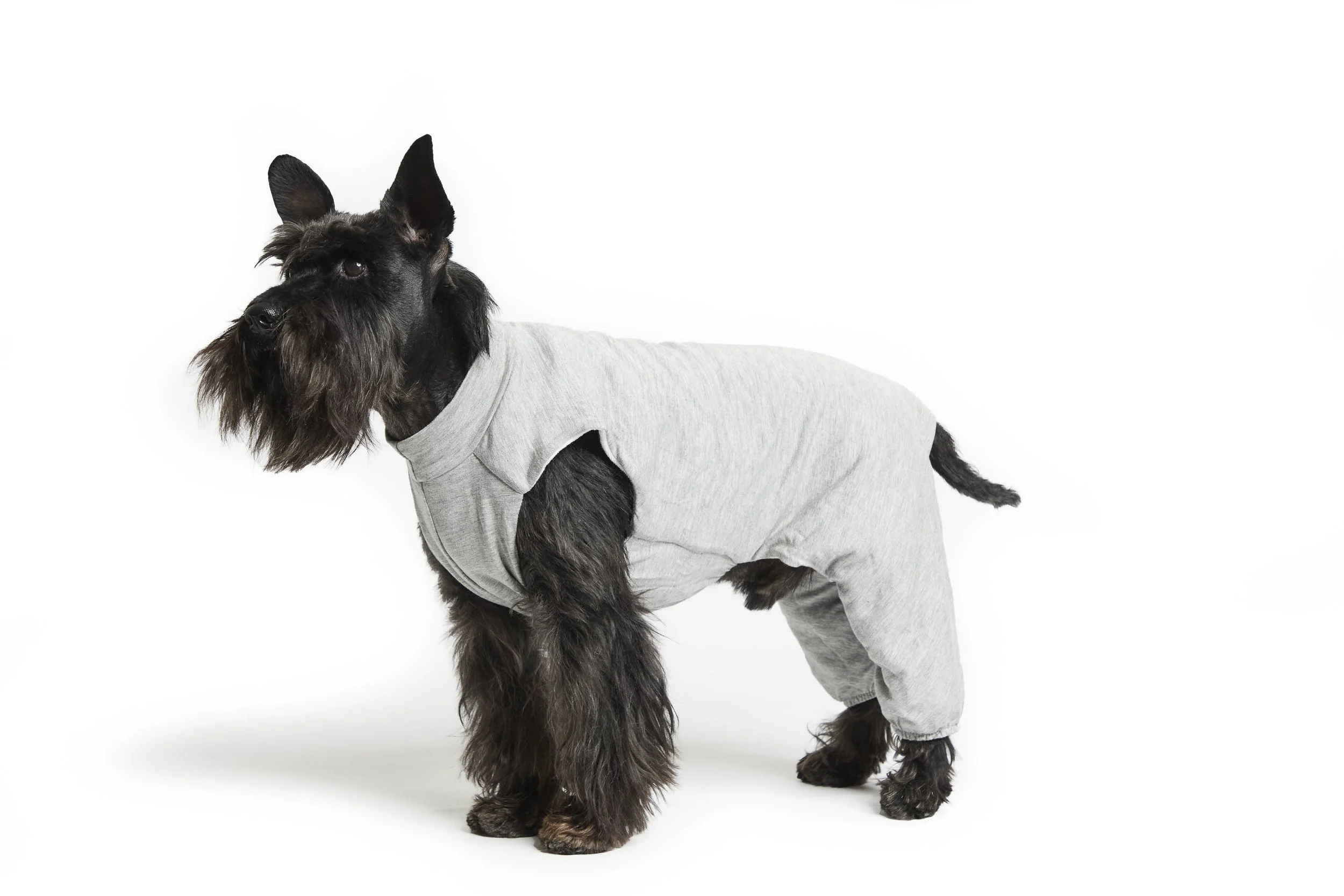 Art. 803 – Body foderato in tessuto ipoallergenico ed ecologico con protezione zampe posteriori