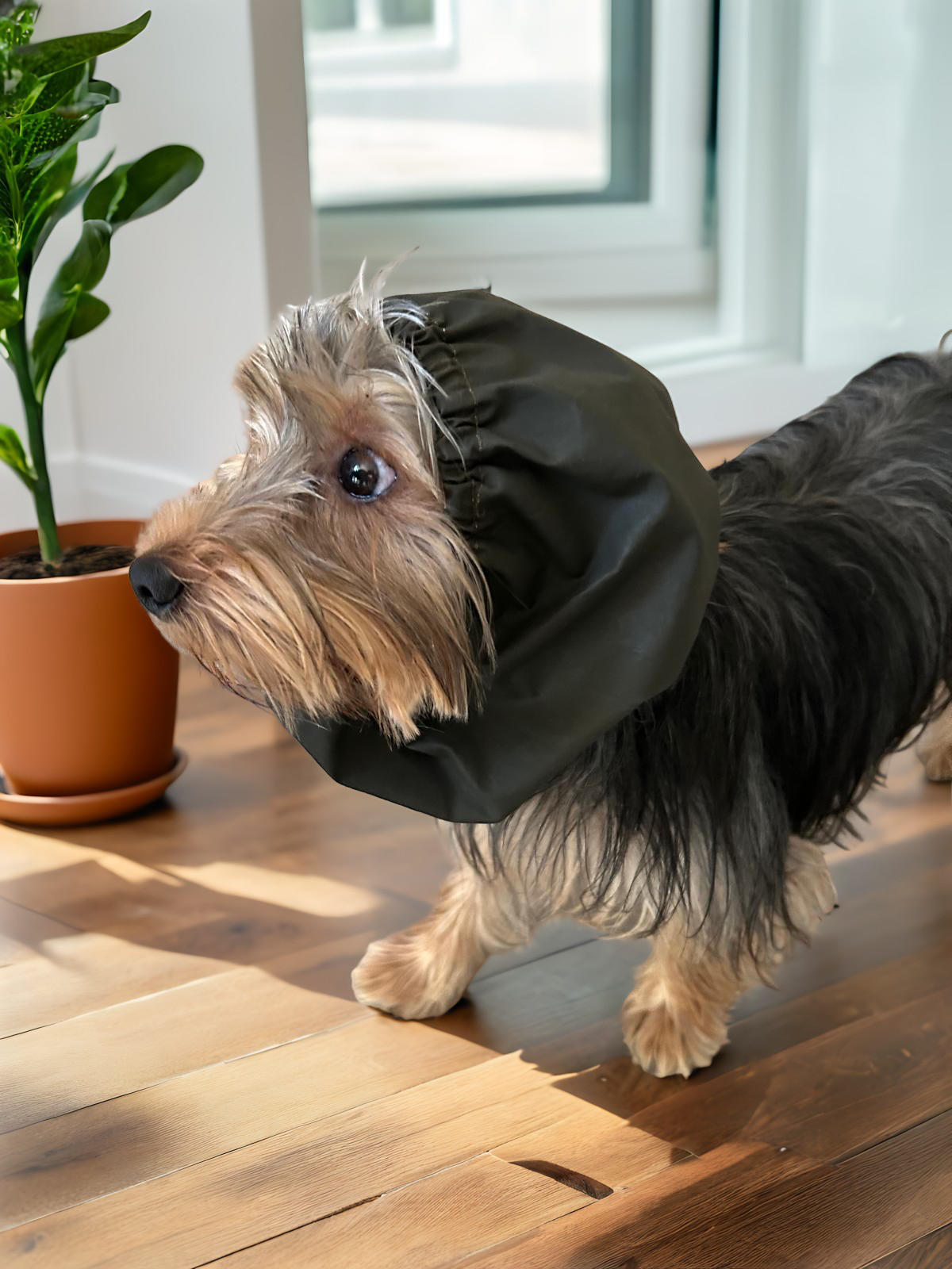 Paraorecchie NORDMARKA