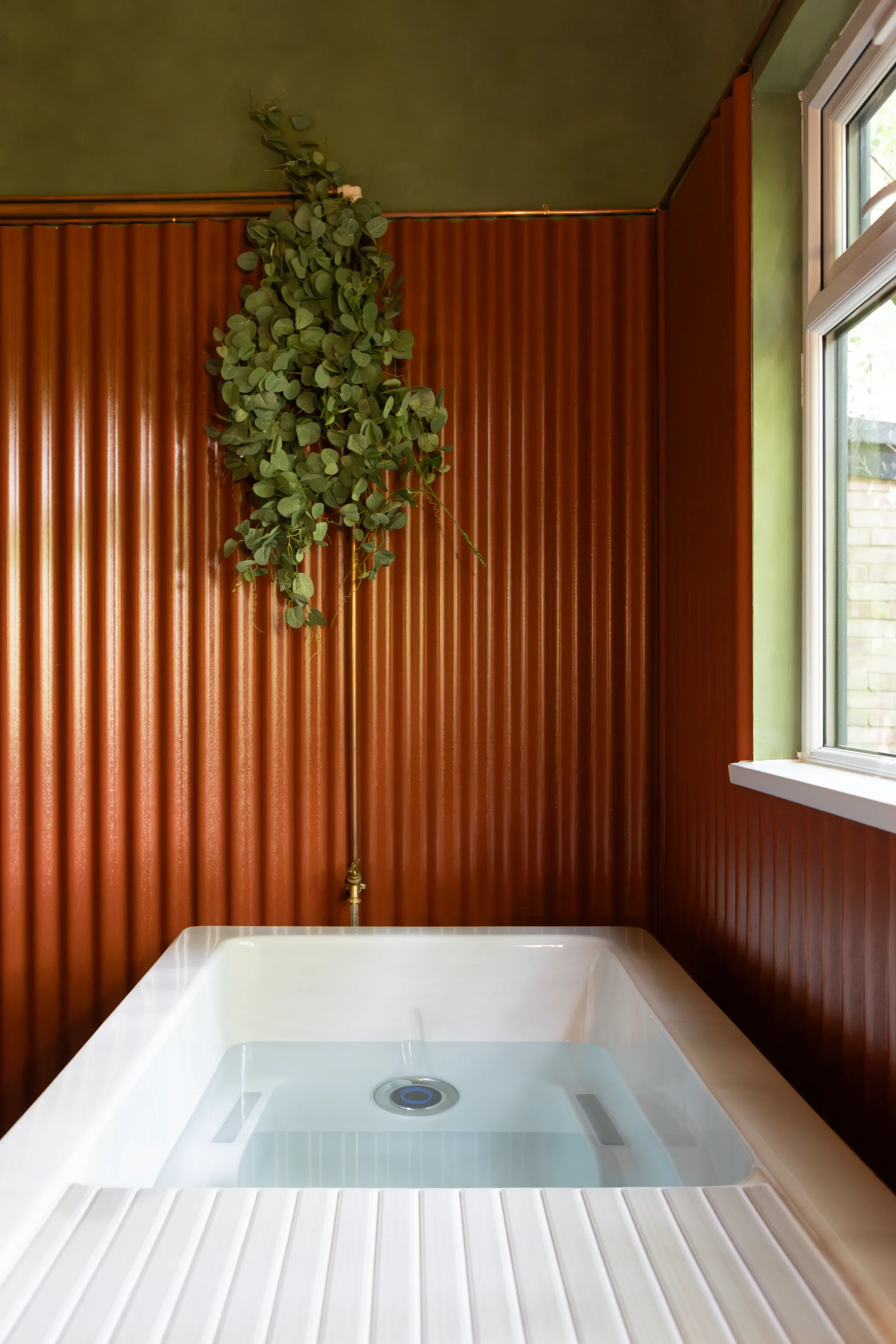 The interior of an ice bath with a green leafy hanging plant above, and next to a window with natural light, and panelled walls.