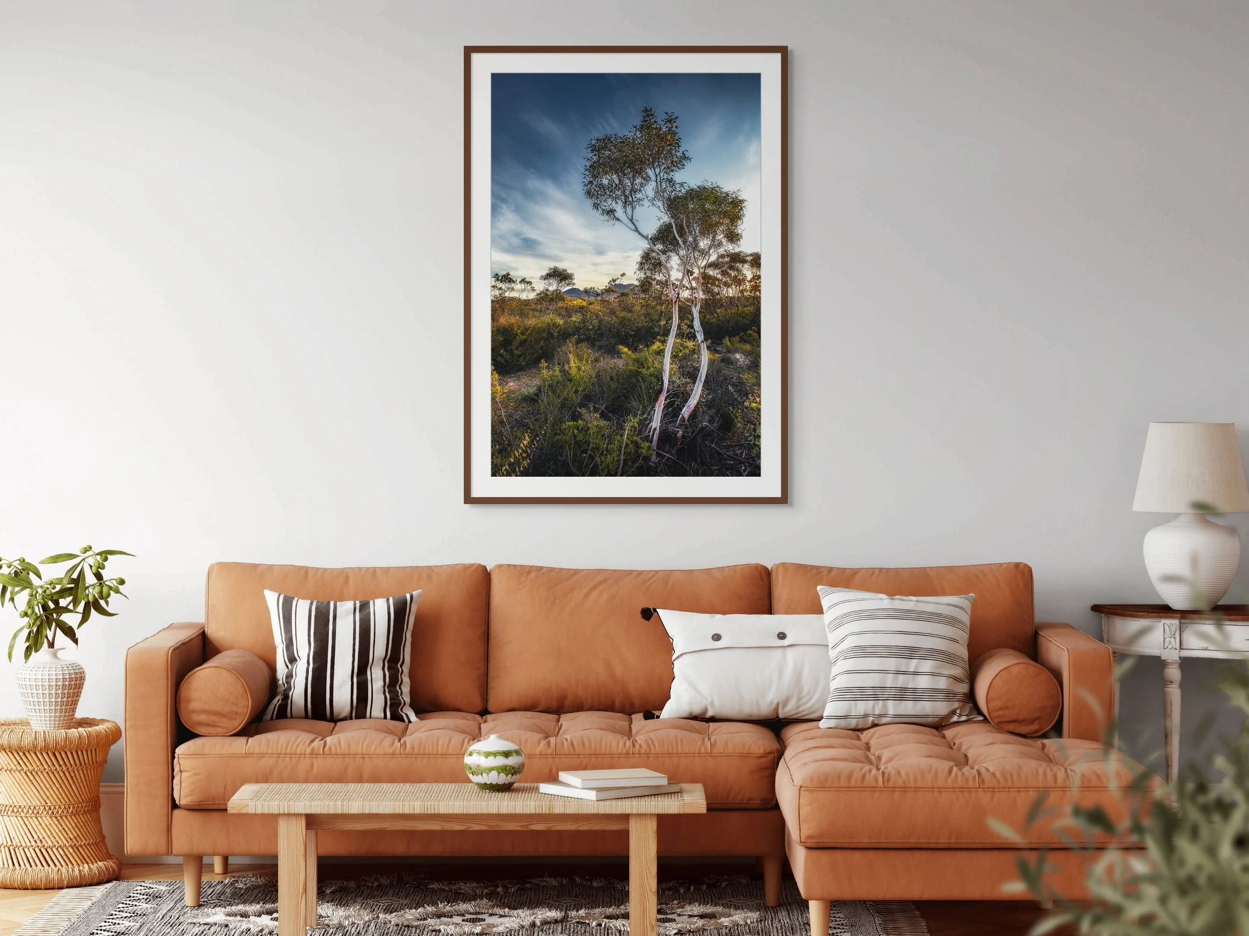 tree stirlings-631-632-633 (2).jpg