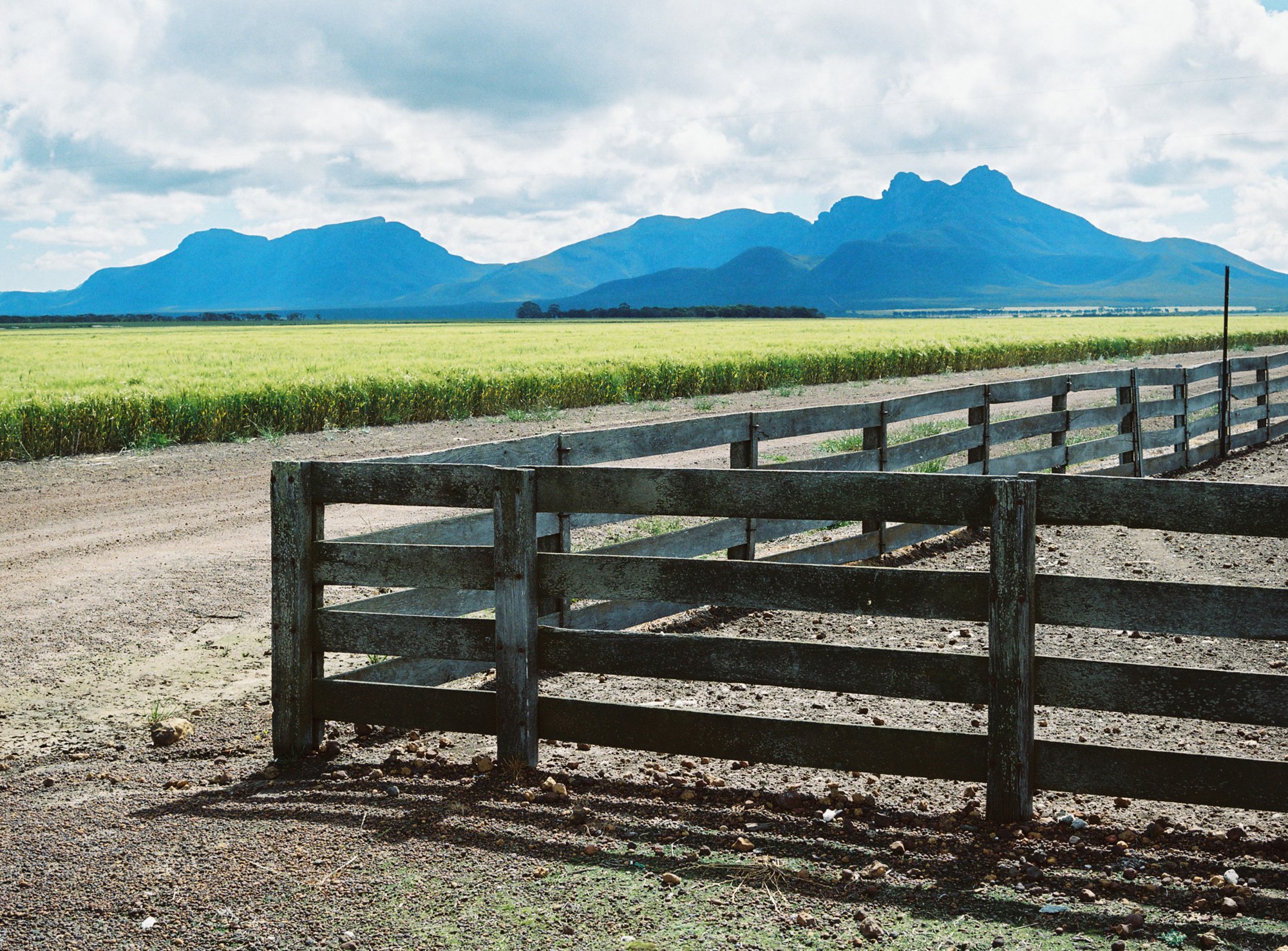 Stirling Ranges Blues