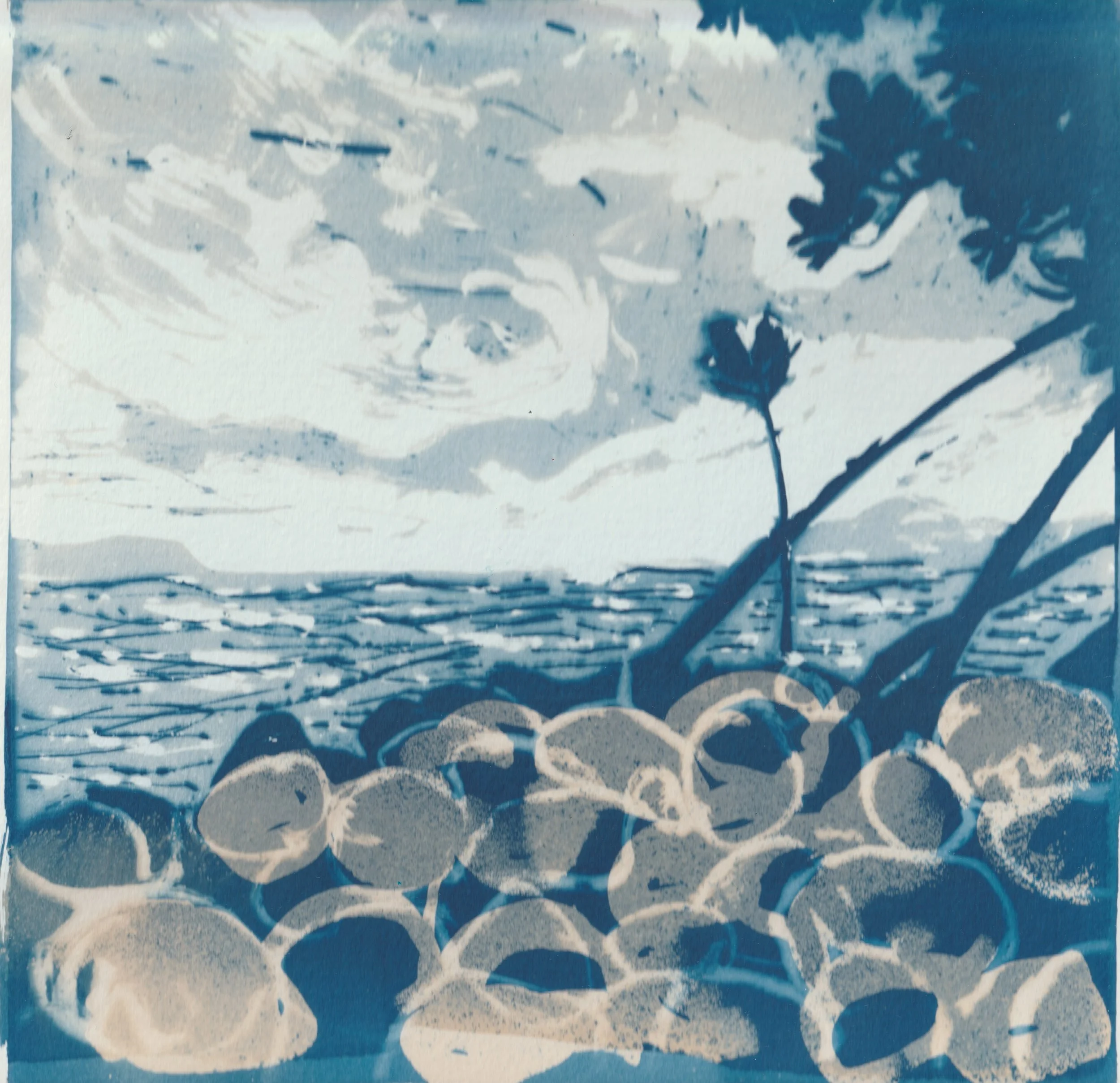 Mangrove Island.jpeg