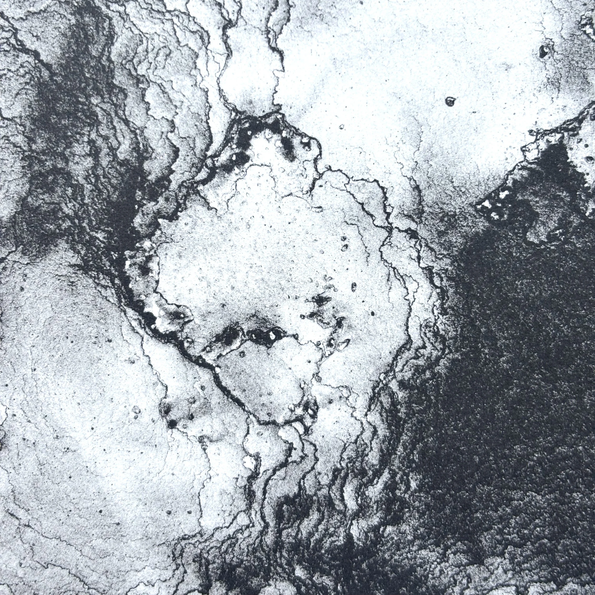 A Path by Sarah Hulme Launch at Bard Books