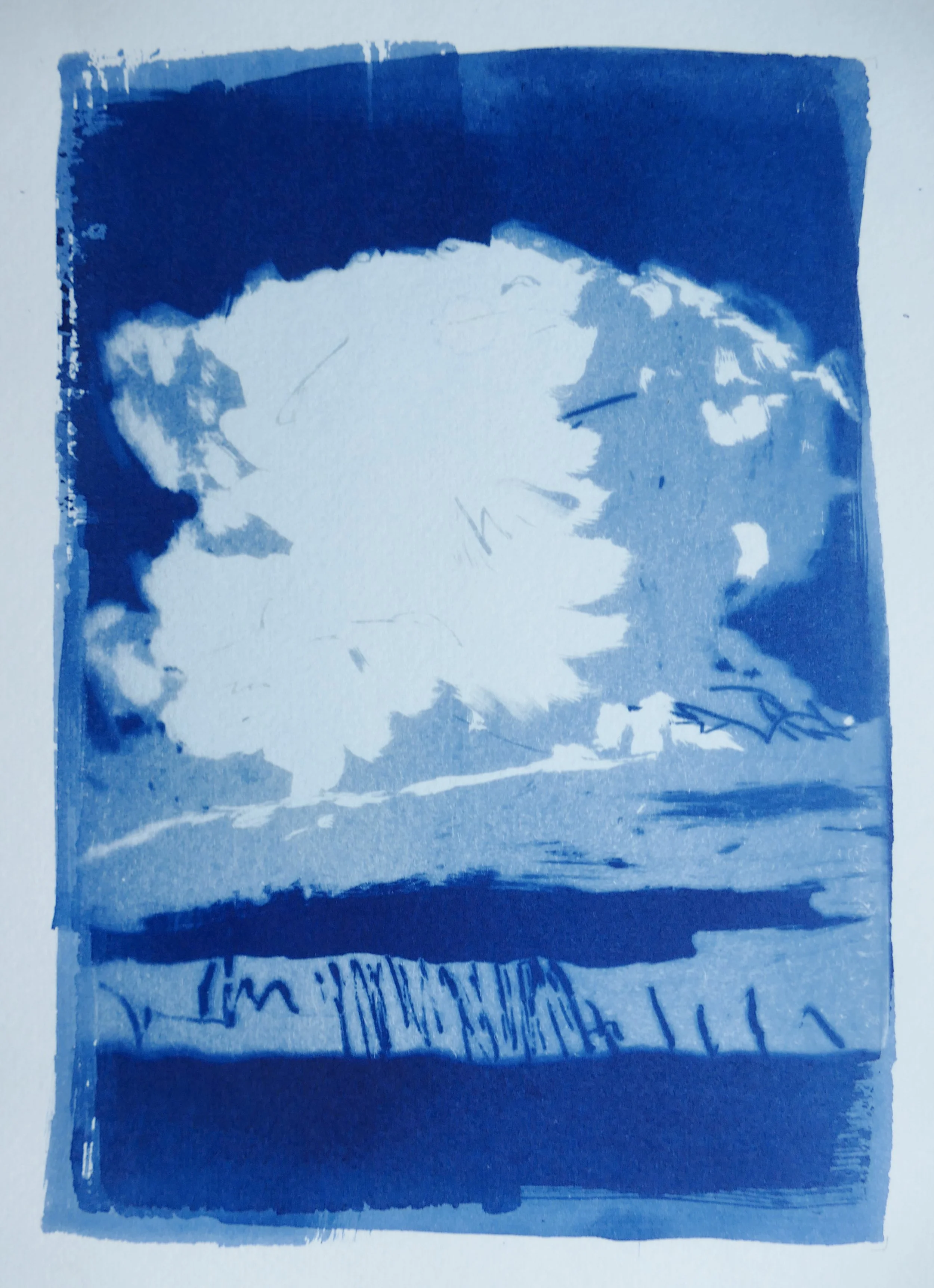 Rollinson, Amber. Cumulonimbus. Cyanotype.jpg