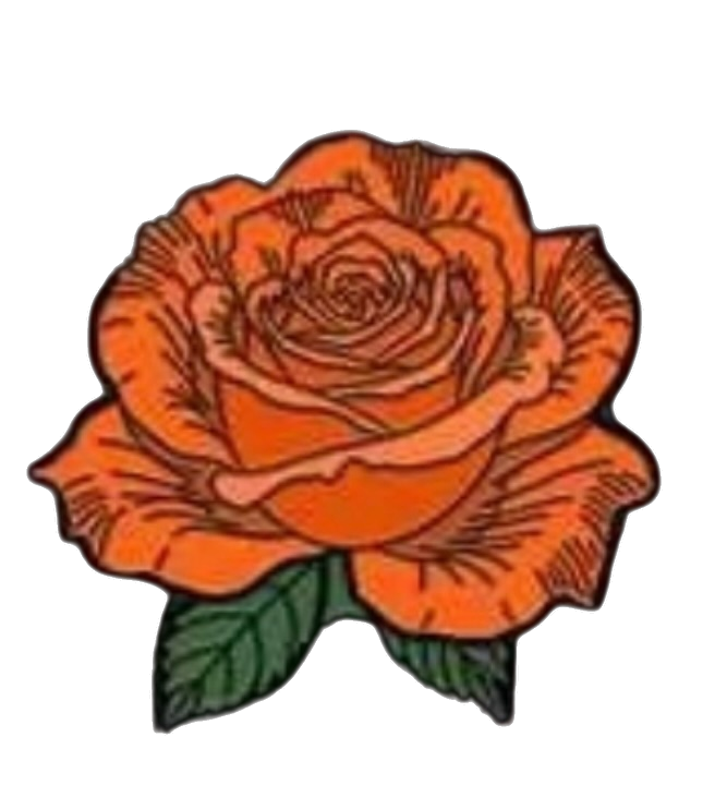 The Orange Dream Rose