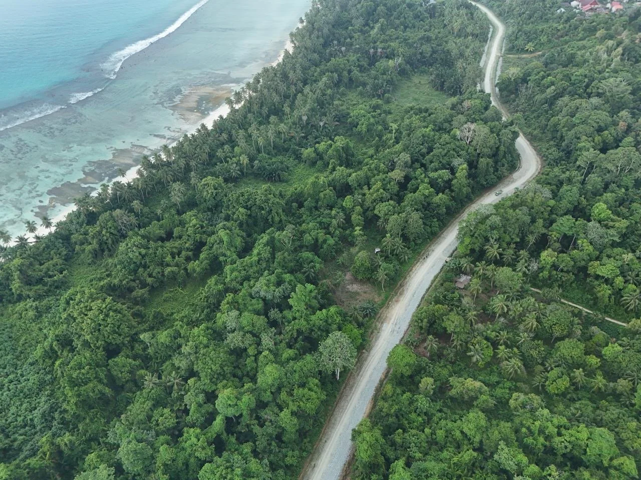 Aerial view showcasing a winding road bordered by lush forest, leading to the serene ocean in the background.