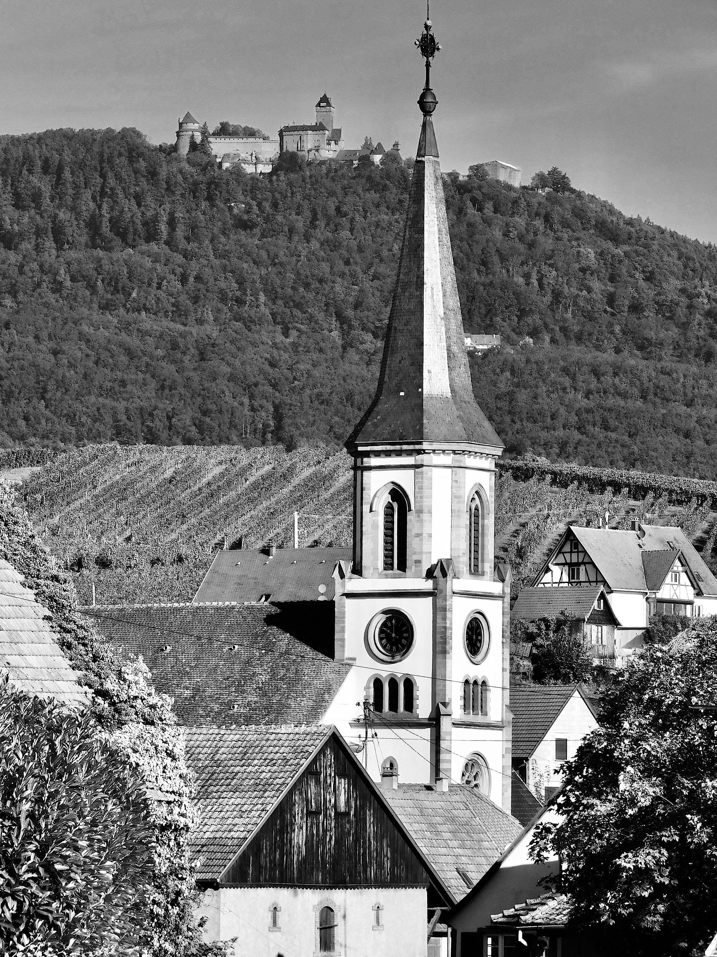 rorschwihr-alsace.jpg ©Stefano Zanoncello.jpeg