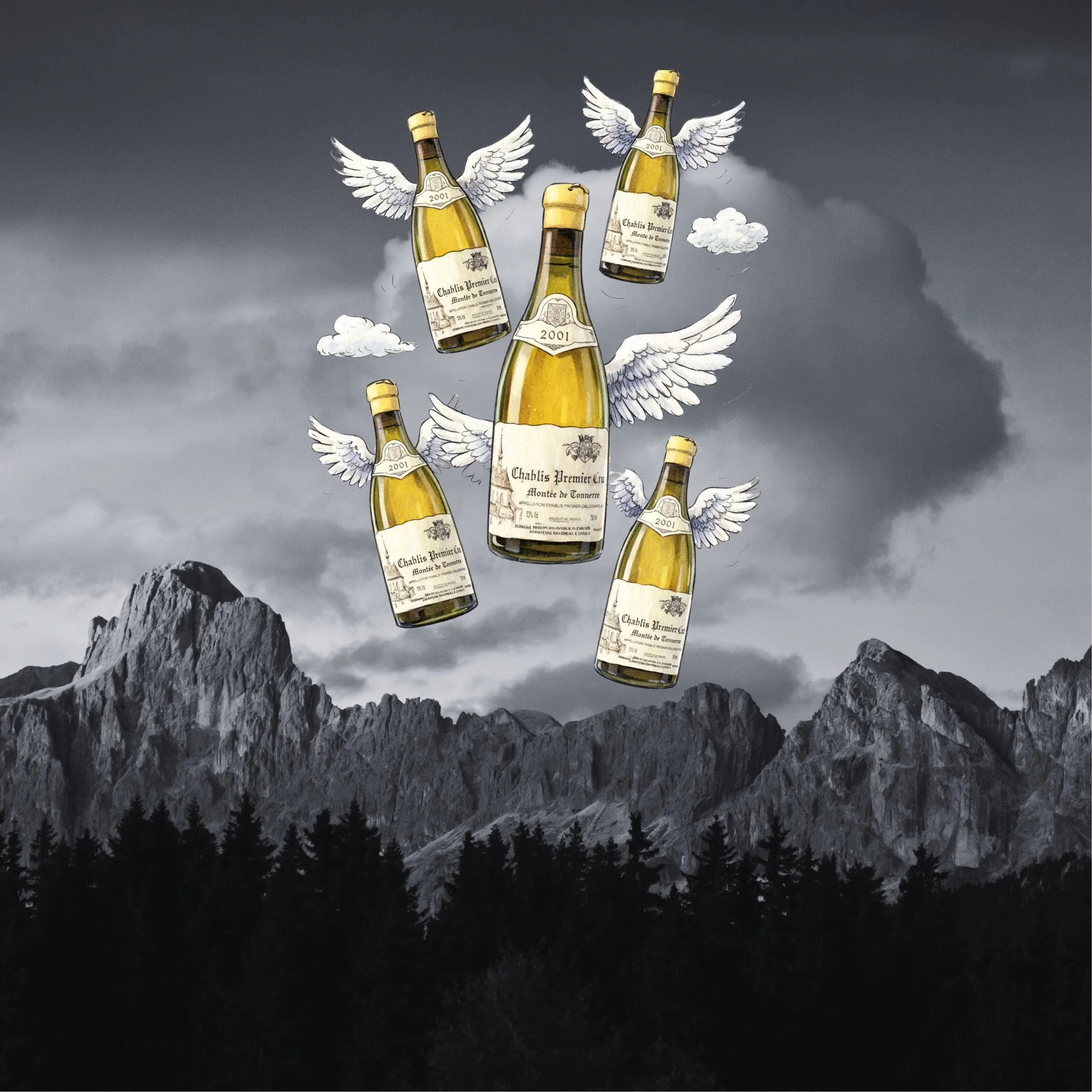 Wine, Place, and Hospitality in Alto Adige