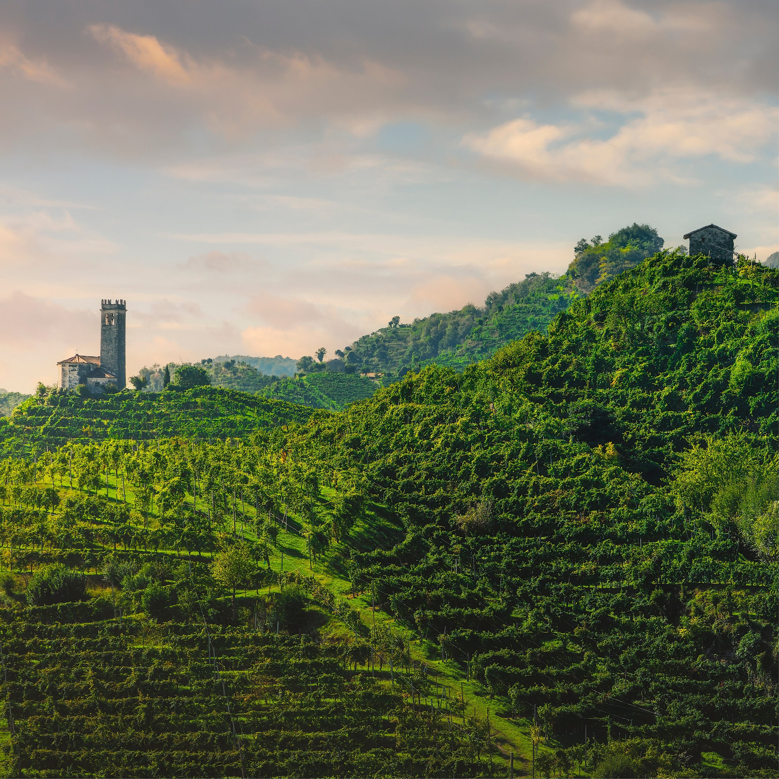 Val-DOH-bee-AH-deh-nay