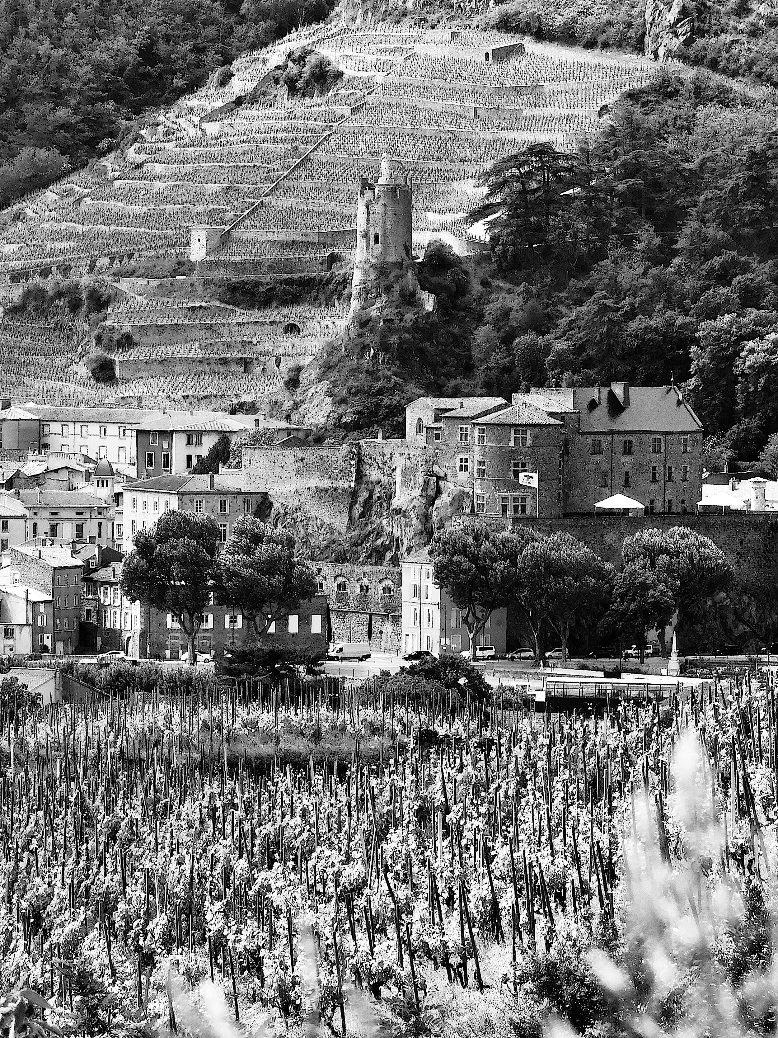 tournon-sur-rhone.jpg ©Stefano Zanoncello.jpeg