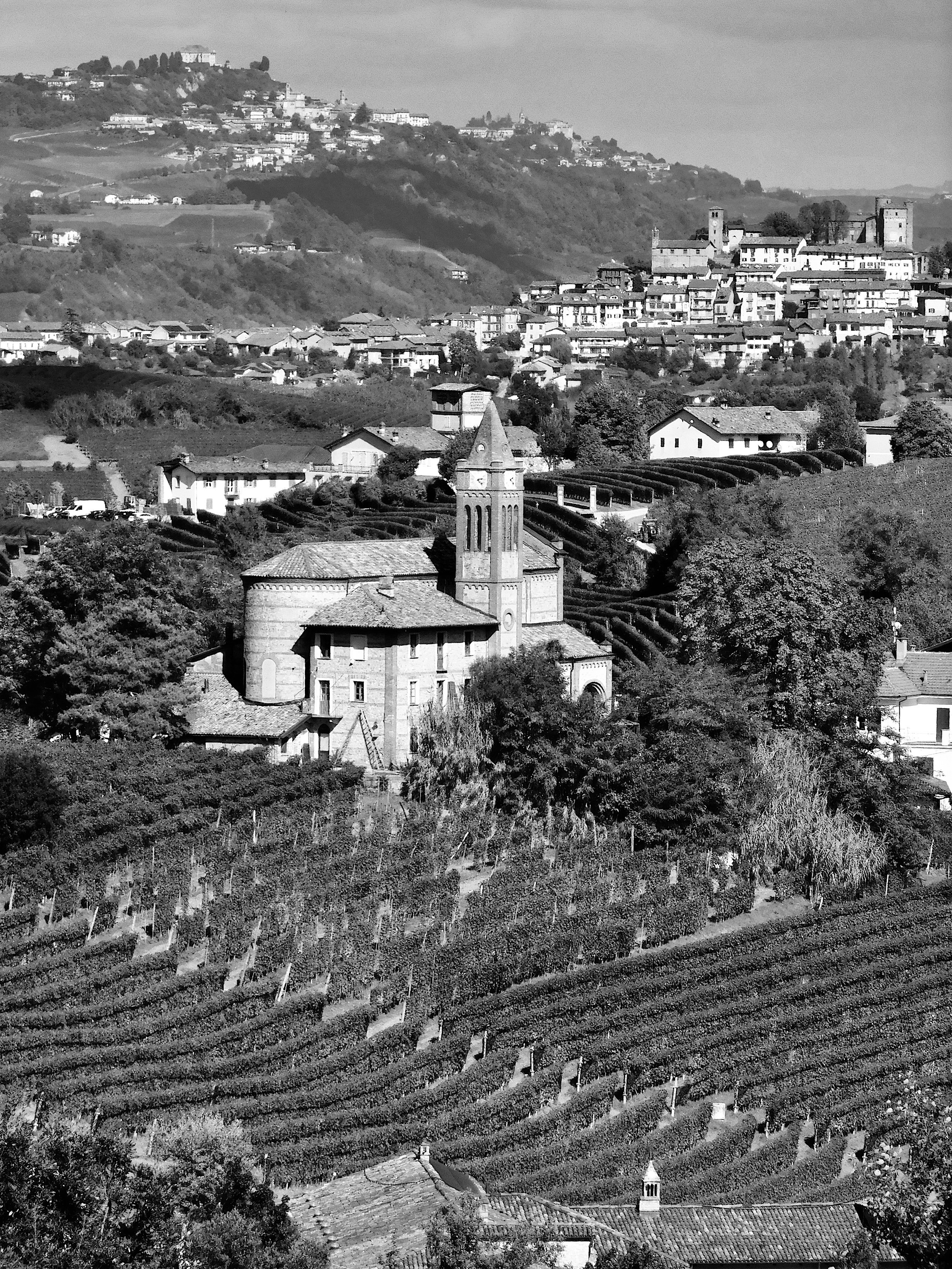 la-morra-barolo.jpg ©Stefano Zanoncello.jpeg