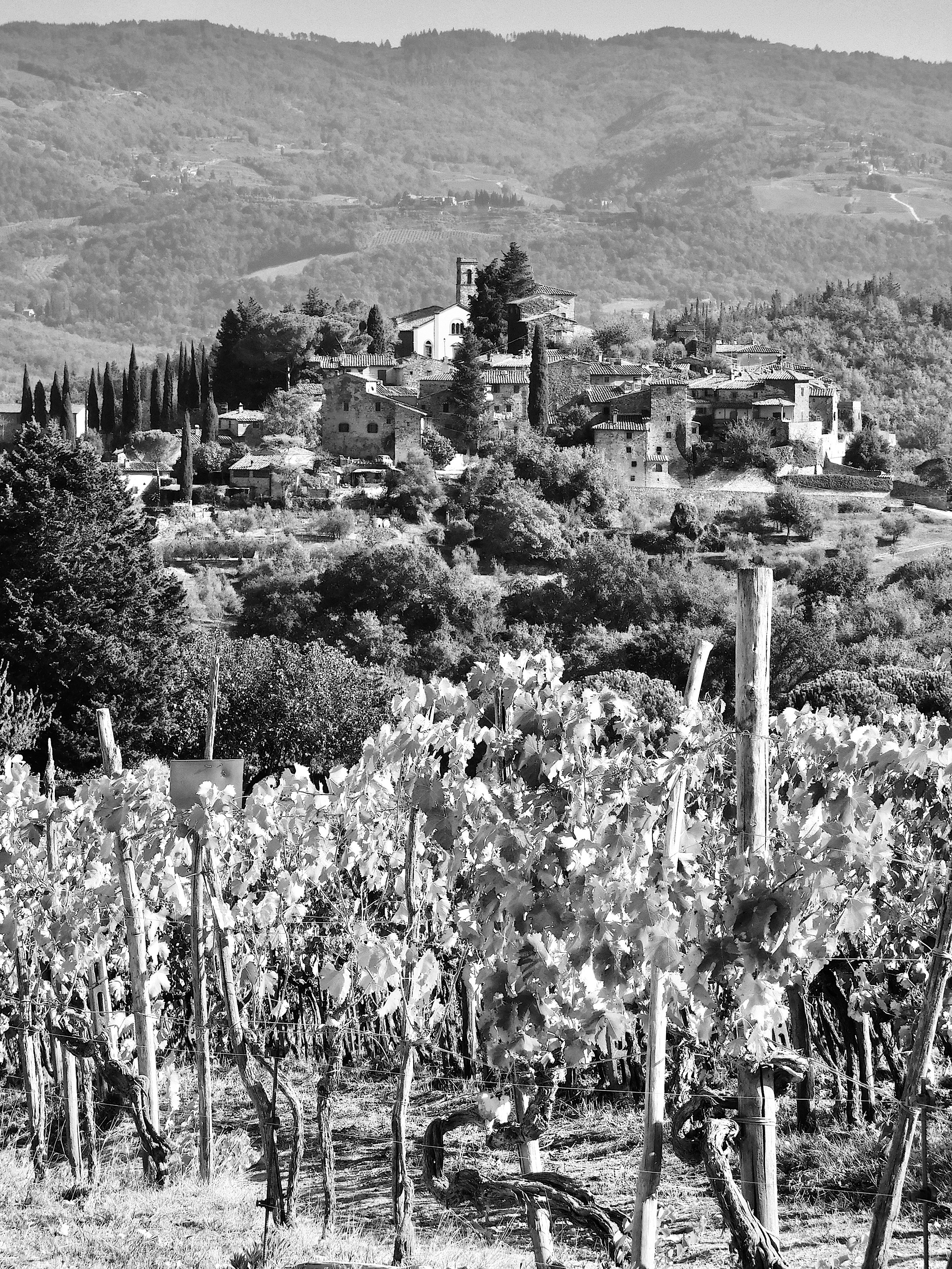 montefioralle-chianti.jpg