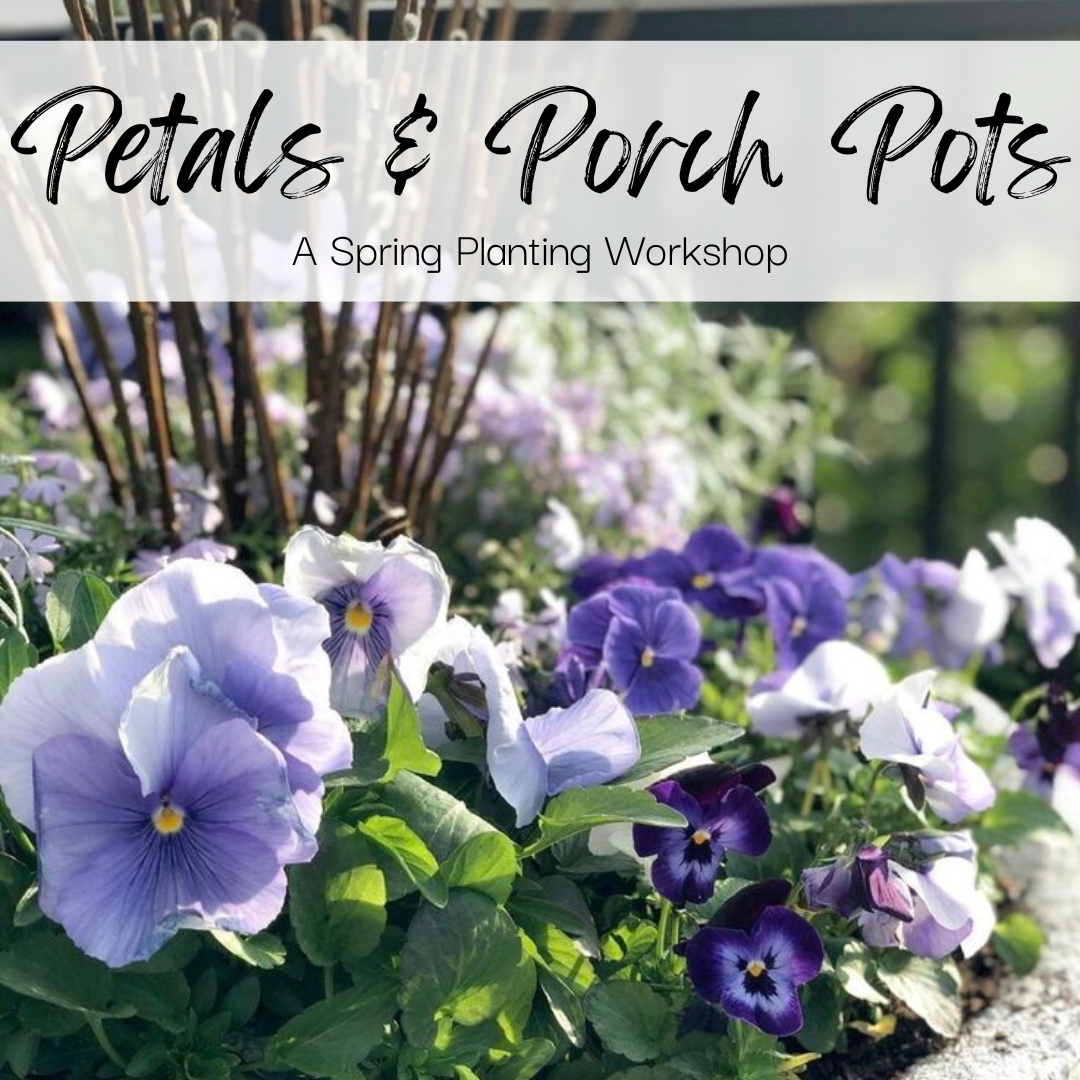 Copy of Nisse Farms (4).png