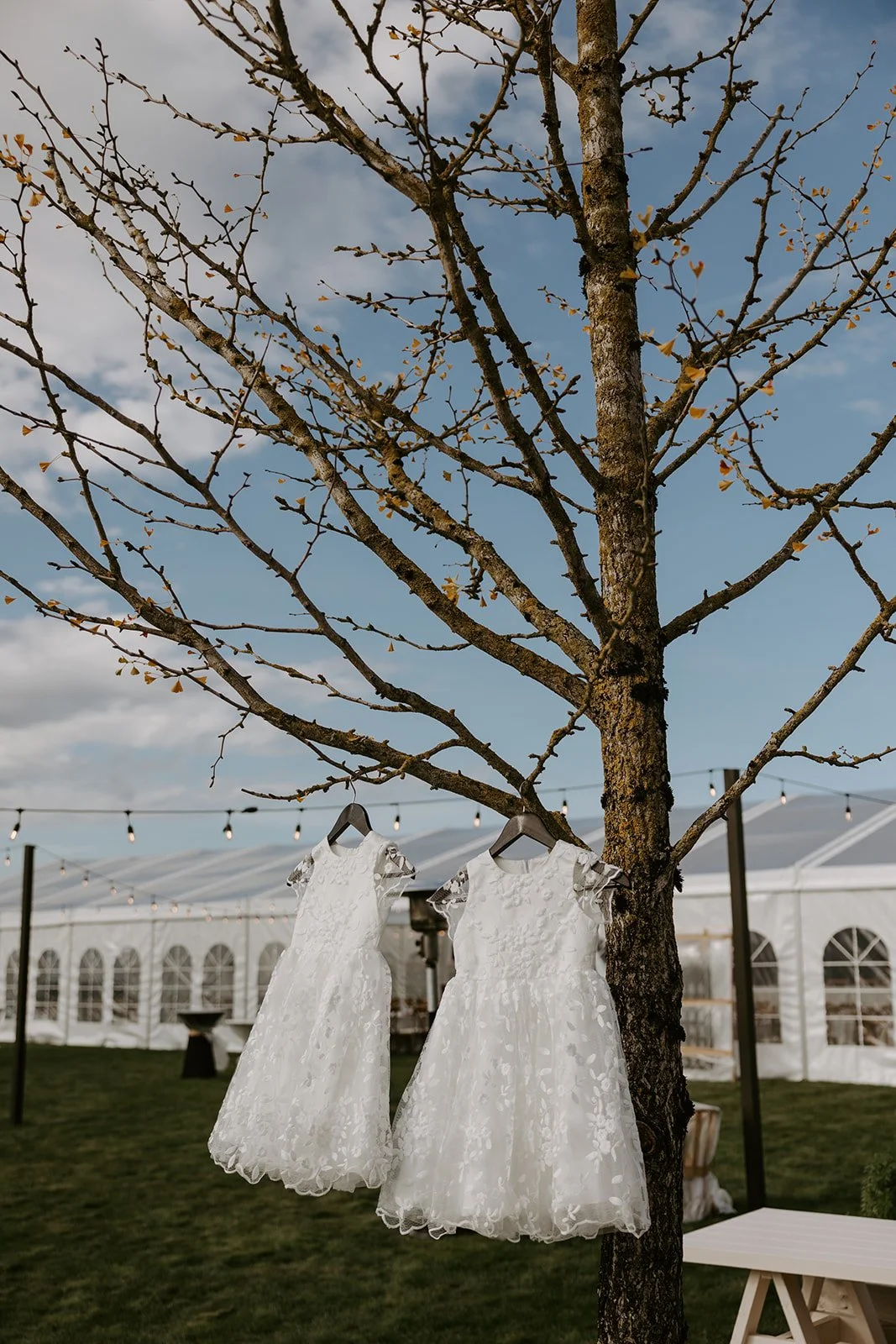 JANESSAALICIASTUDIOS-0894.jpg