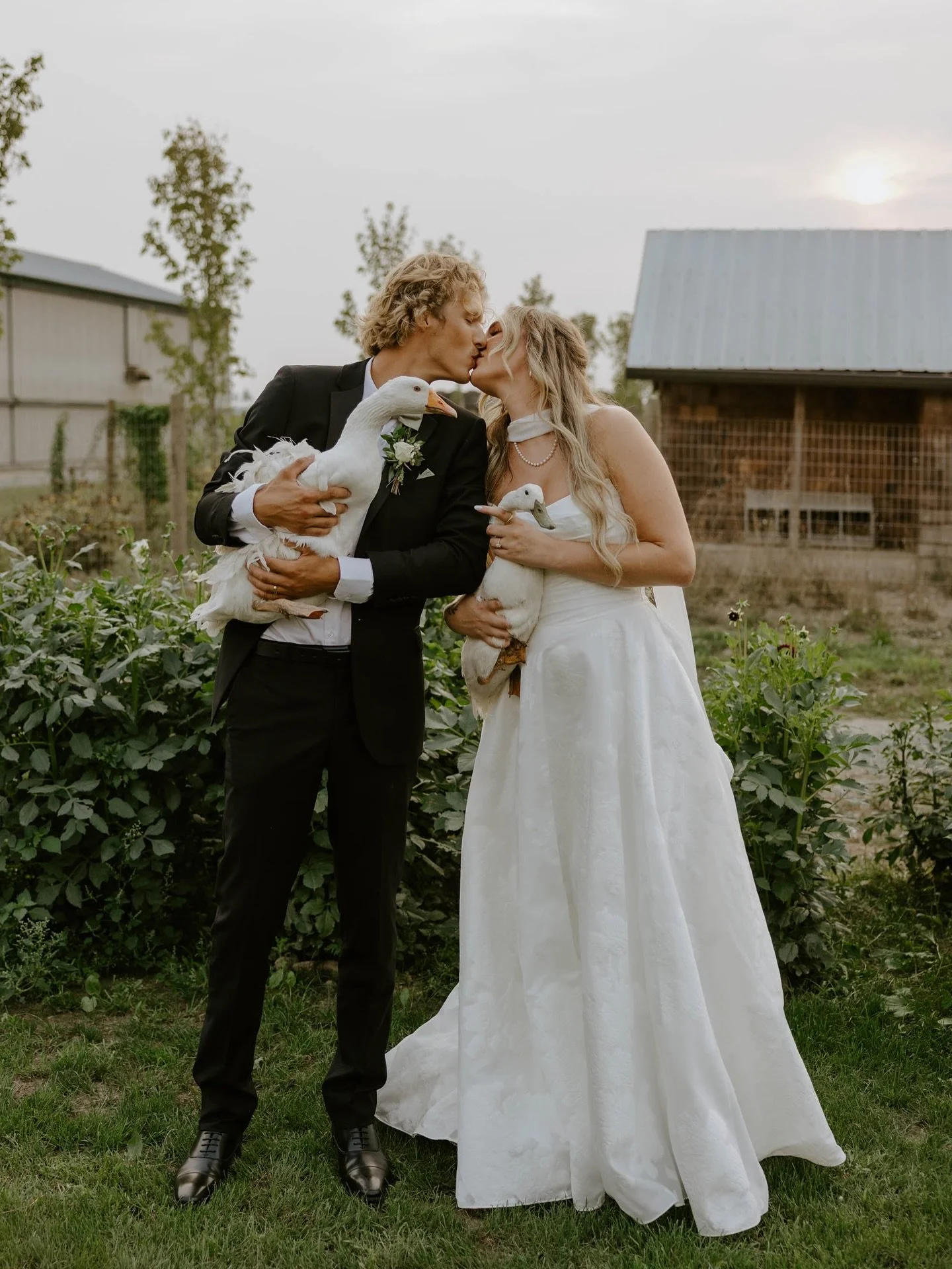 miri and andrew - 09/06/25

a perfect day in the most beautiful backyard 🎞️🪿🌞🍸