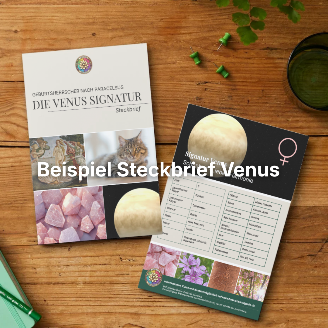 Beispiel Steckbrief Venus.png