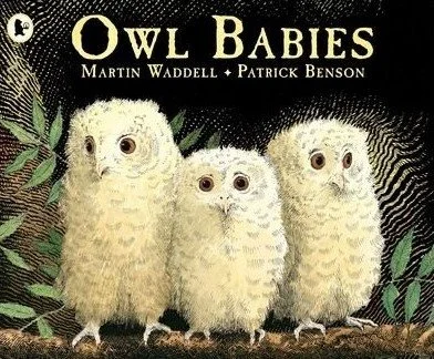 Cover image of Owl Babies book