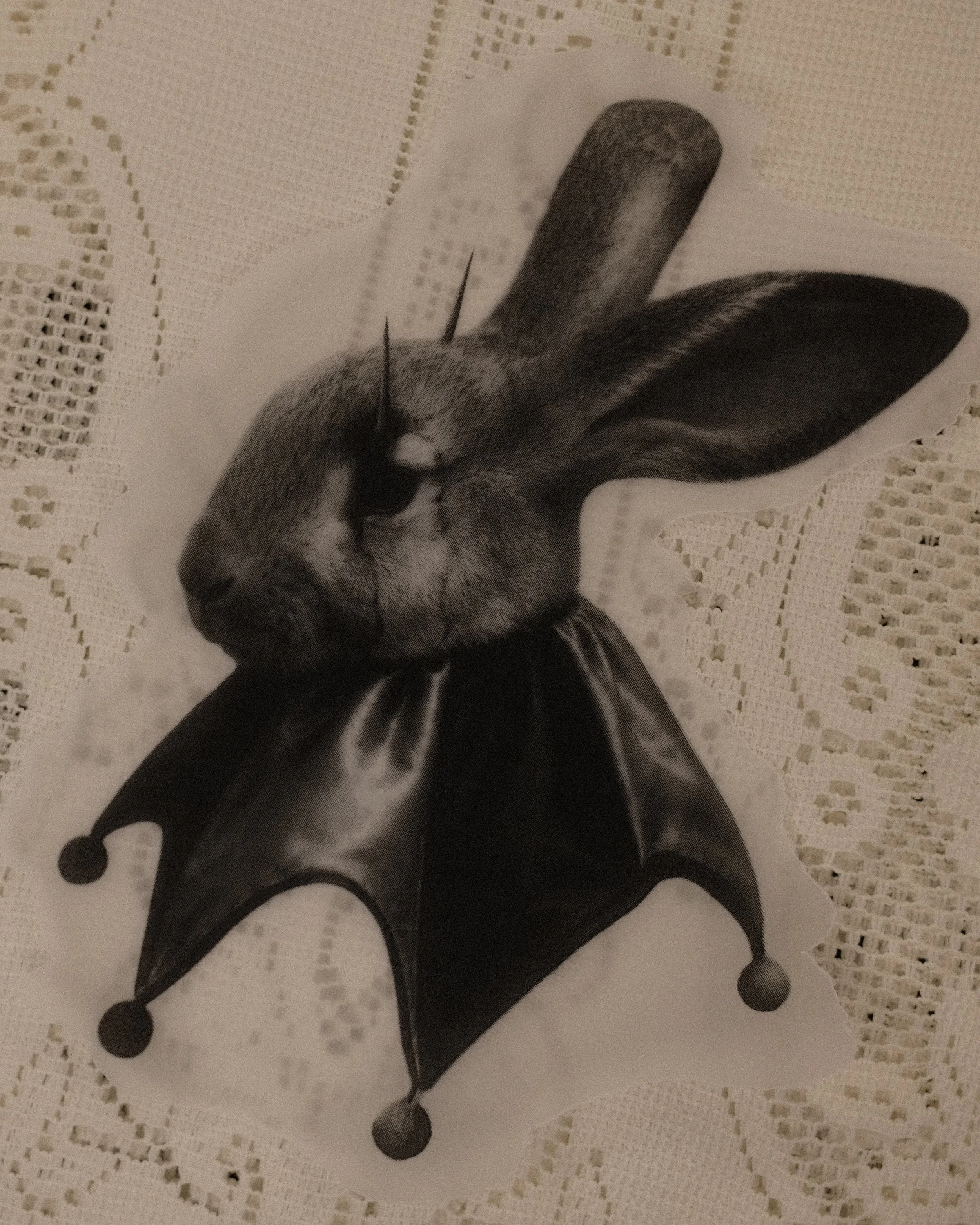 DSCF9651.jpg