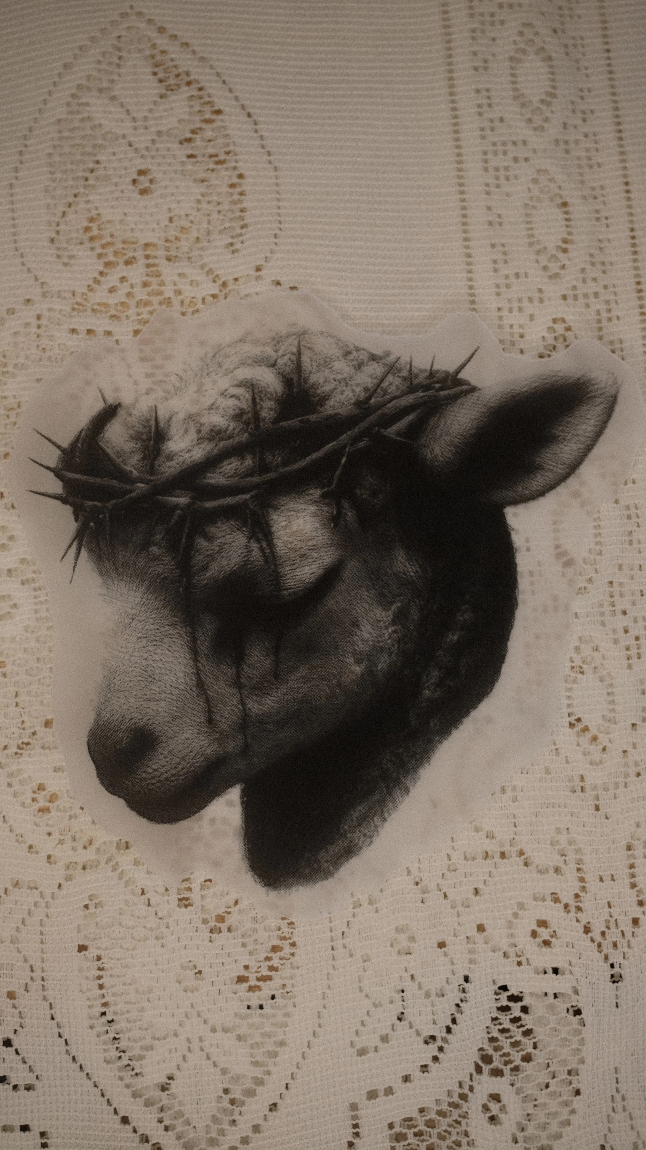 DSCF9173.jpg
