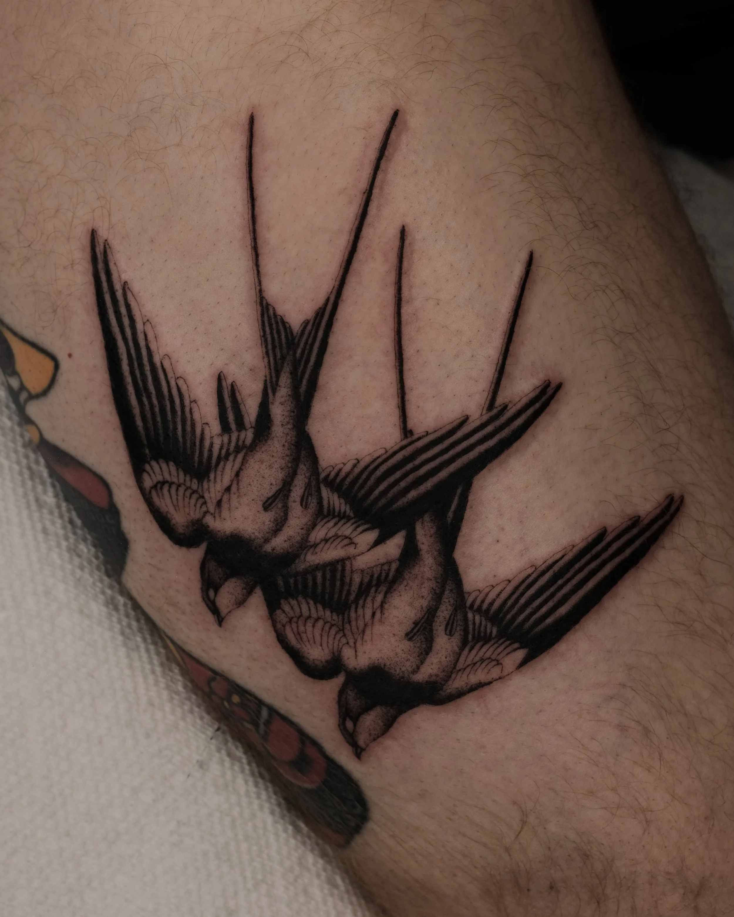 DSCF1268.jpg