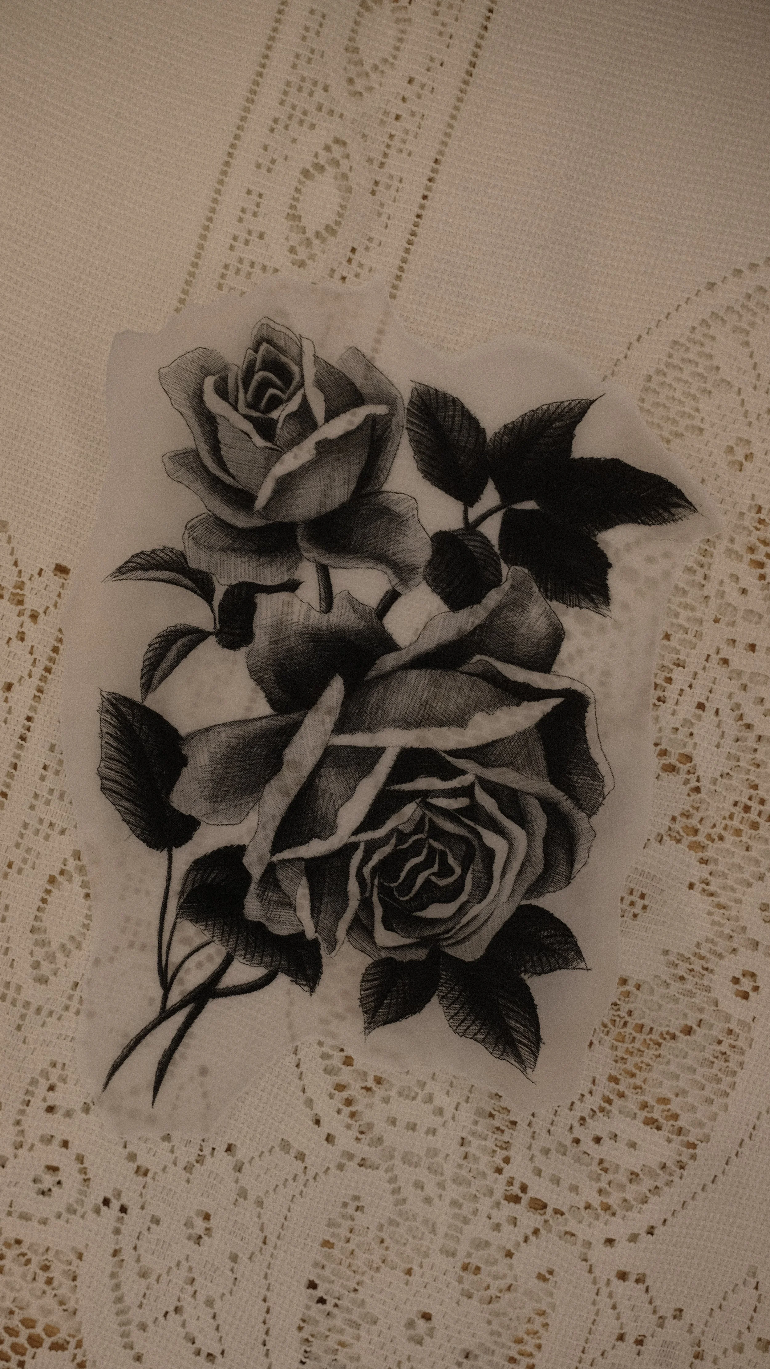 DSCF9082.jpg
