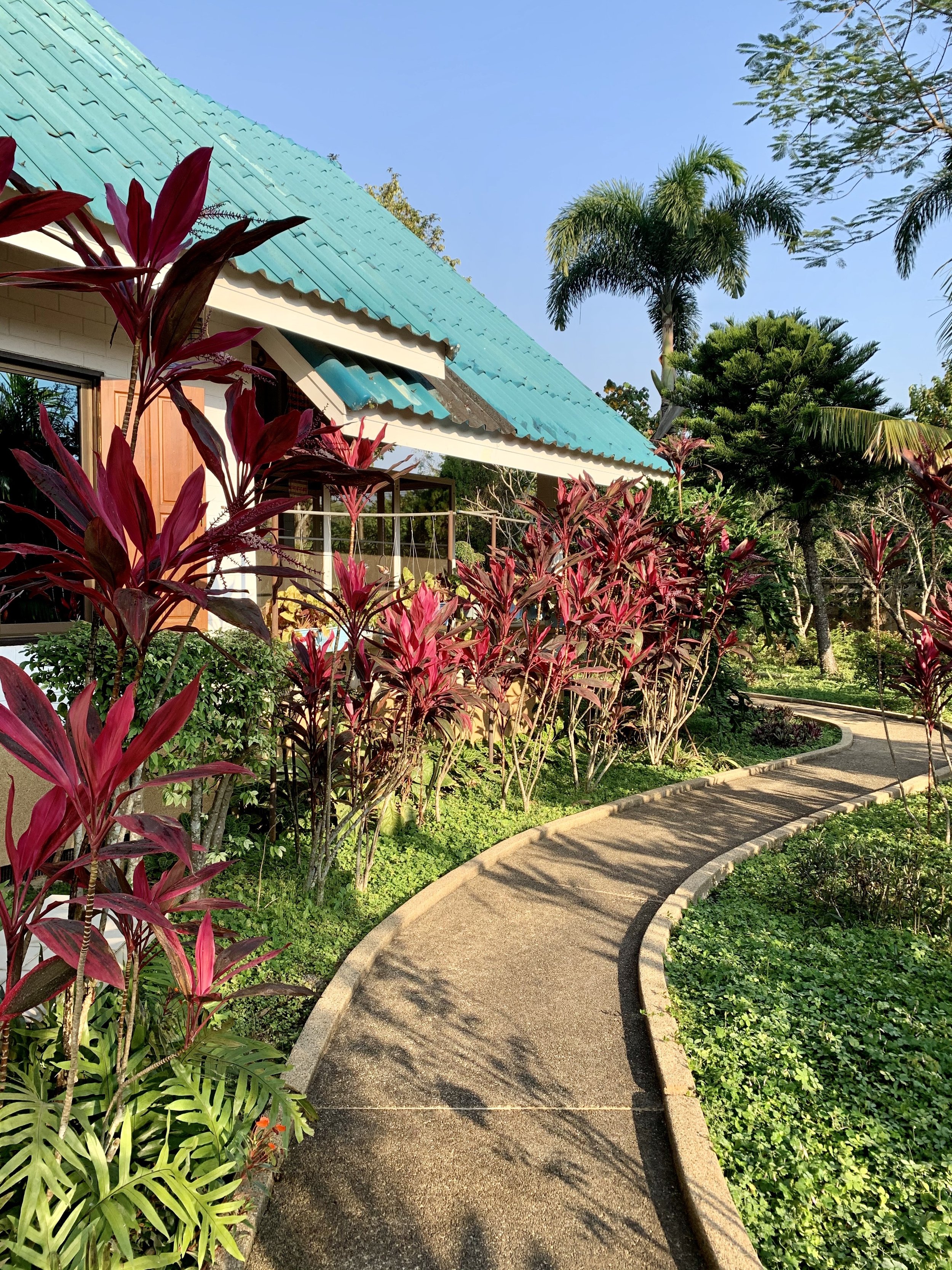 Chiang Rai pathway.jpg