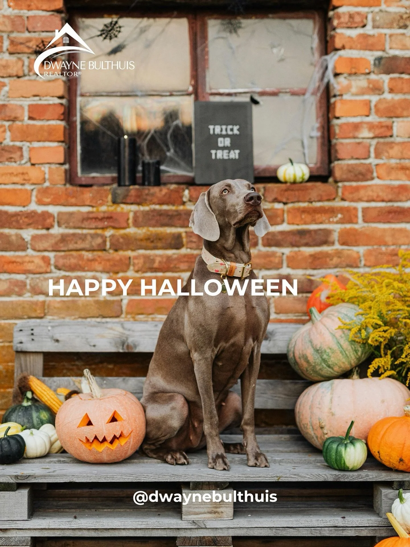 Happy Halloween! Looking forward to all the kids coming to the door in their cute costumes. And the dog freaking out every time the door bell rings!😀

#HappyHalloween #DwayneBulthuis #StaySafe
