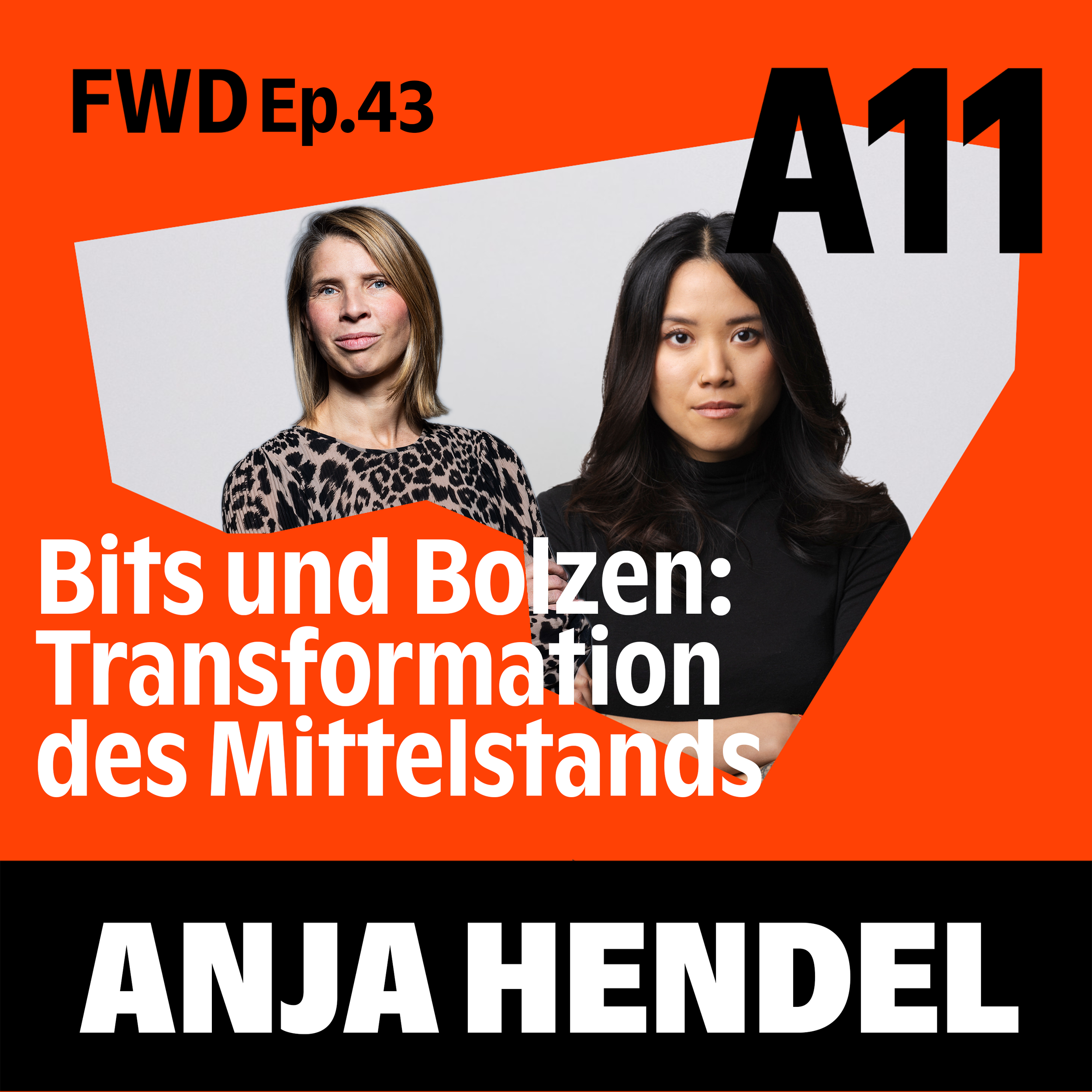 light 1 - Cover 1_1.png