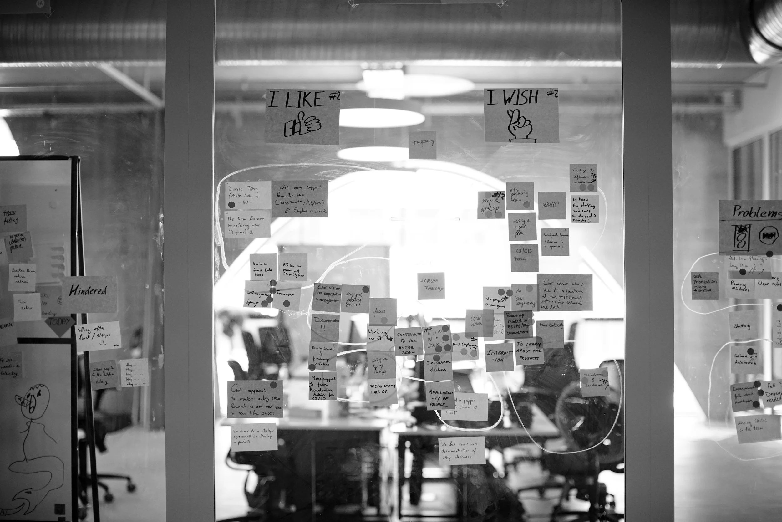 Organisationsentwicklung & Softwarefähigkeit