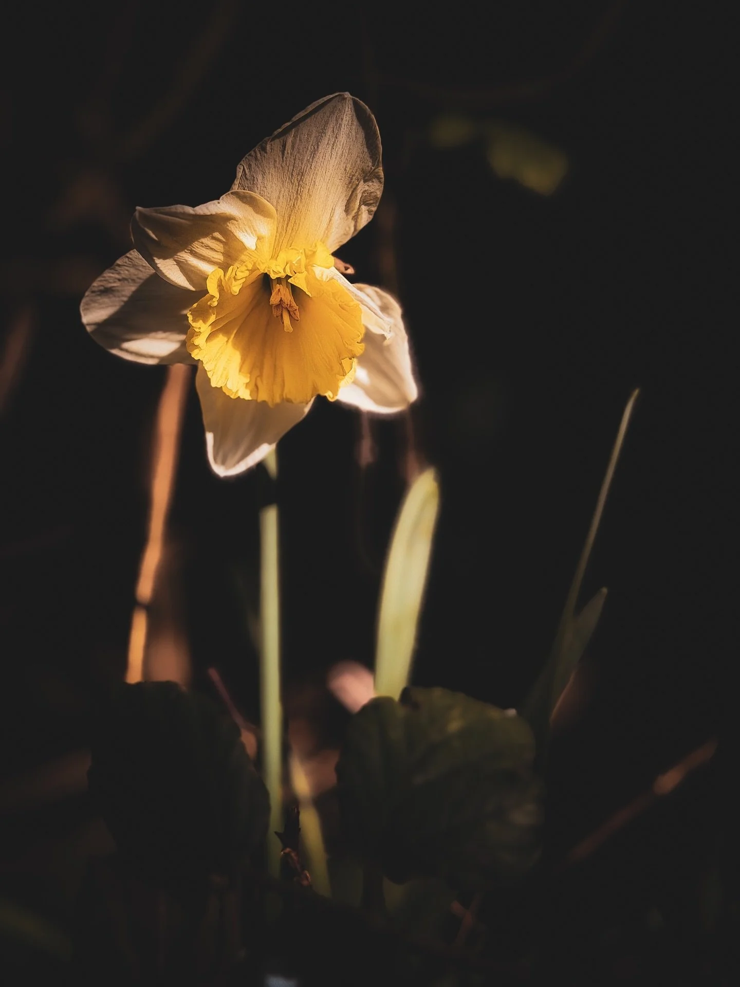 Mother&rsquo;s Day feels different these days. Missing my mum (who I lost unexpectedly coming up to 2 years ago) whilst also being mum to my three. It&rsquo;s a strange mix of feelings. If today feels a bit complicated for you too, I see you 🫶