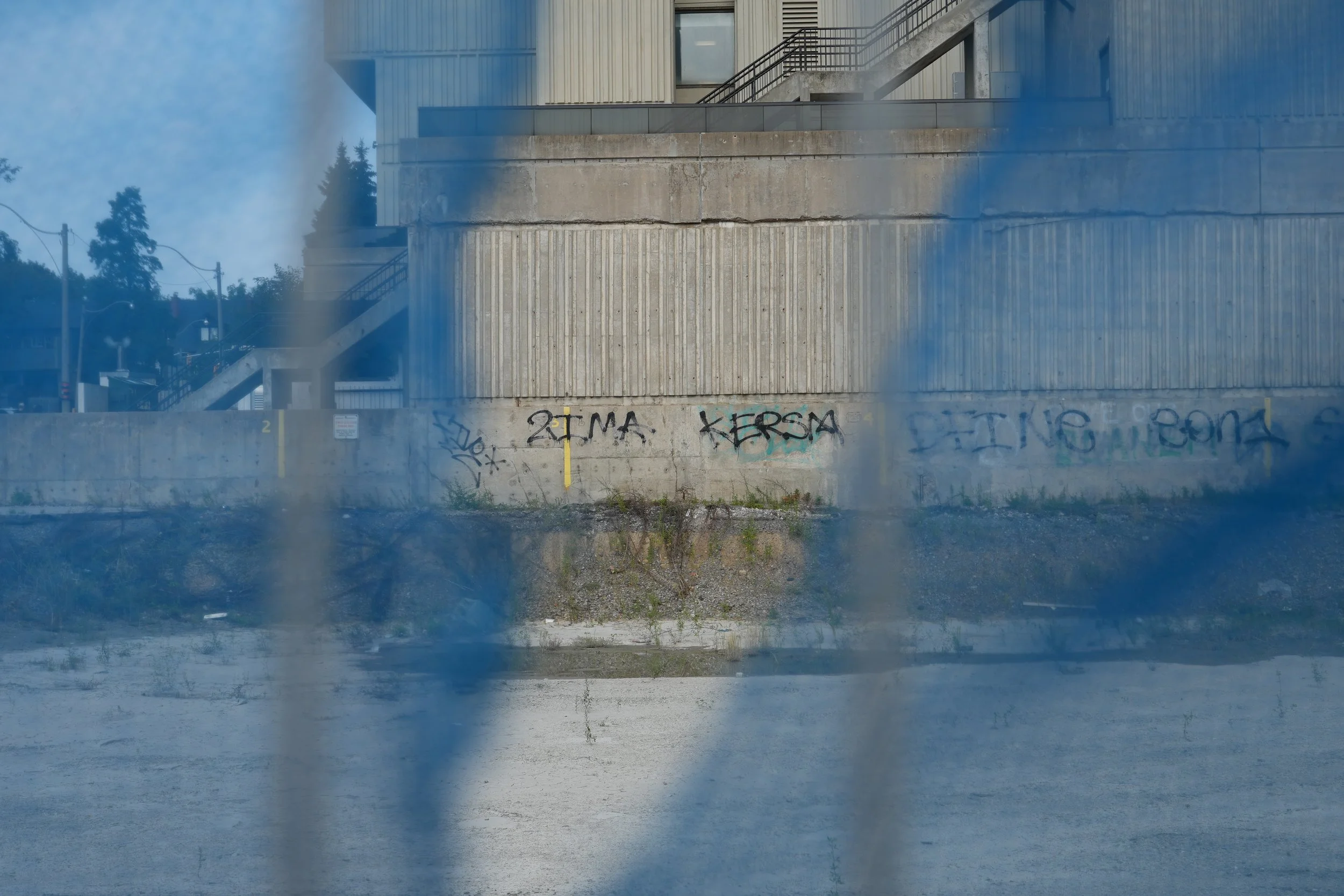 DSC00615.jpg