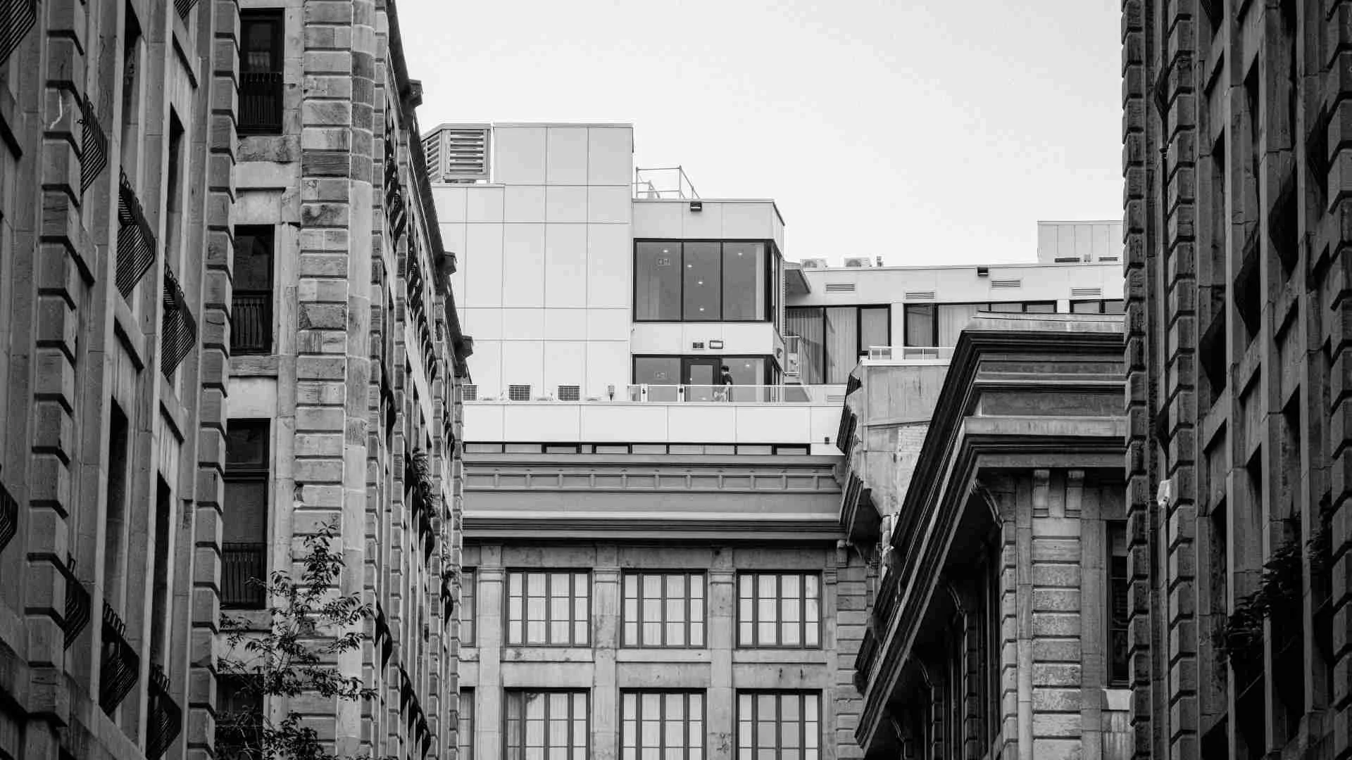 Qué información deben incluir los términos y condiciones: Guía para empresas y emprendedores